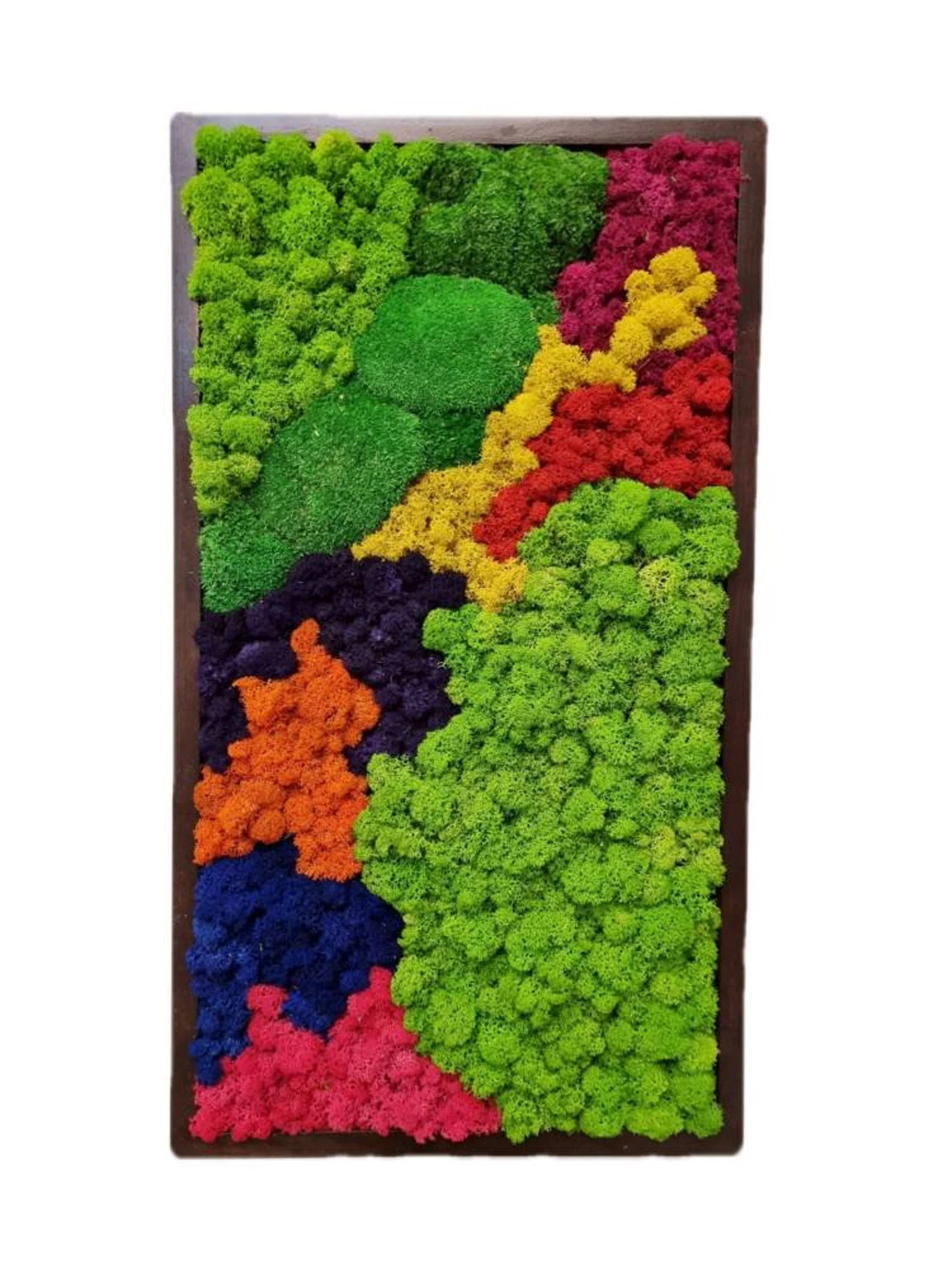 Moss Wall Art – Preserved Moss Frame – Green Wall Nature Room Decor