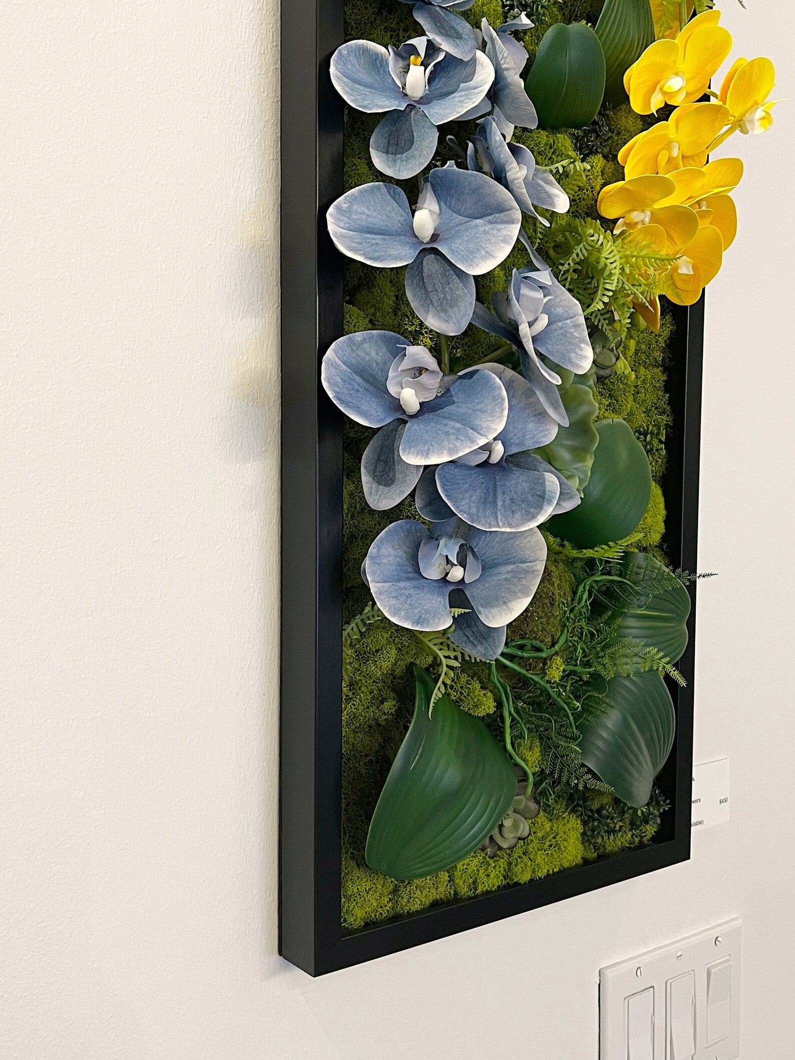 Orchid Moss Wall Art – Large Preserved Moss Decoration | White, Black, Gold Frames