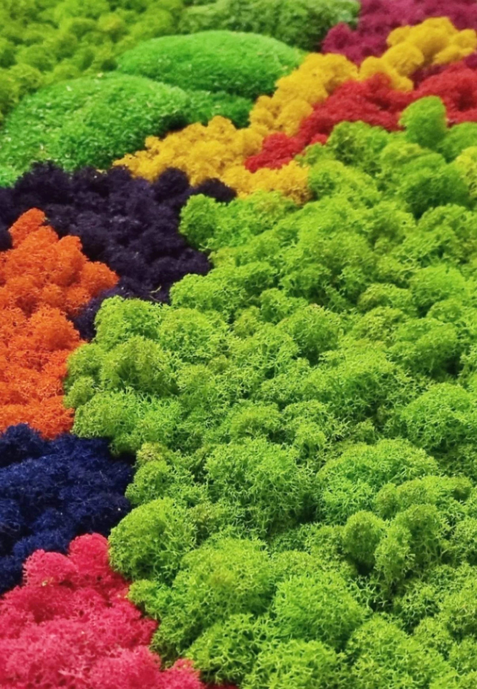 Moss Wall Art – Preserved Moss Frame – Green Wall Nature Room Decor