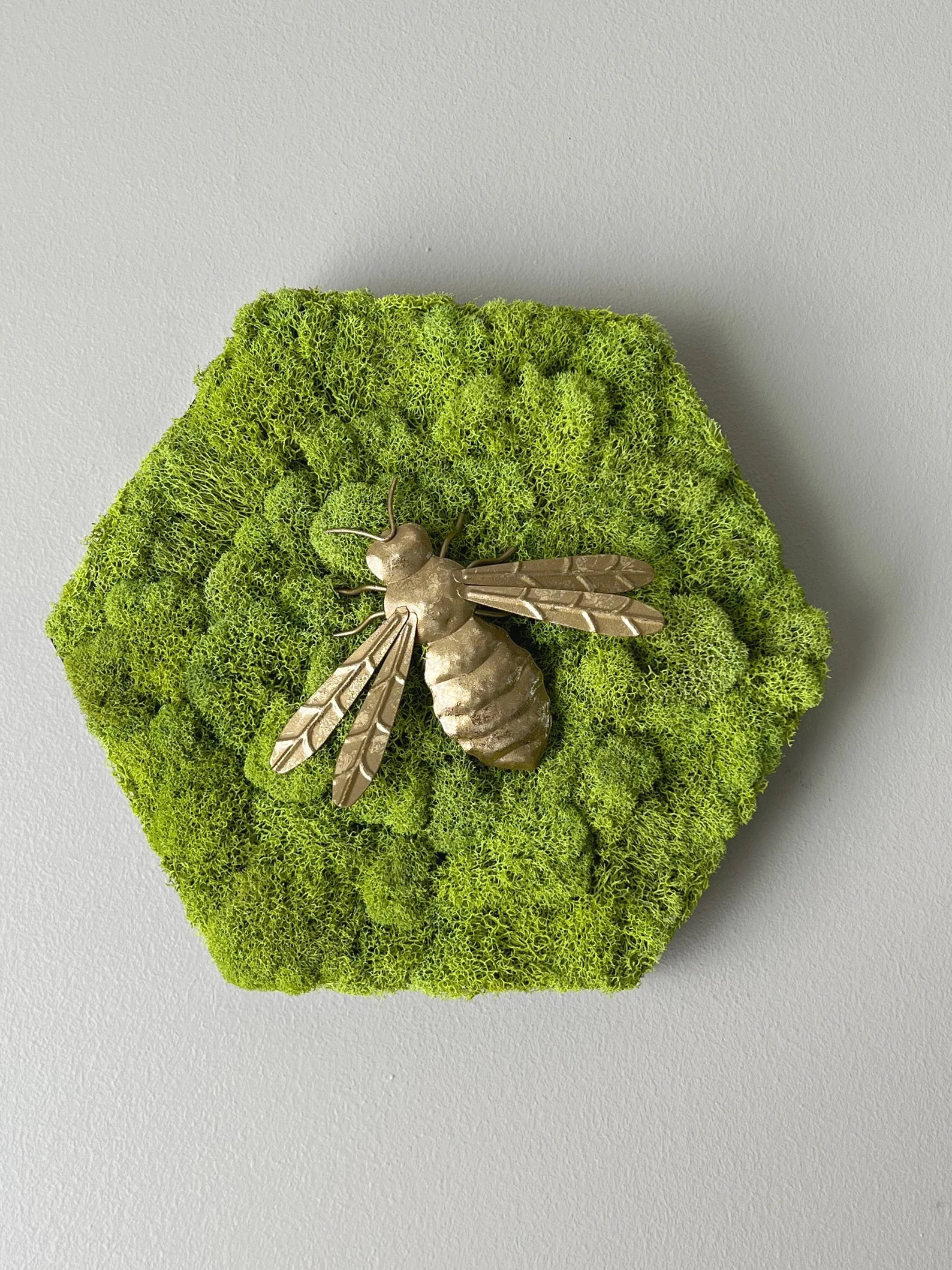 Honey Bee Moss Wall Art | Gold Steel Decoration 12-Inch