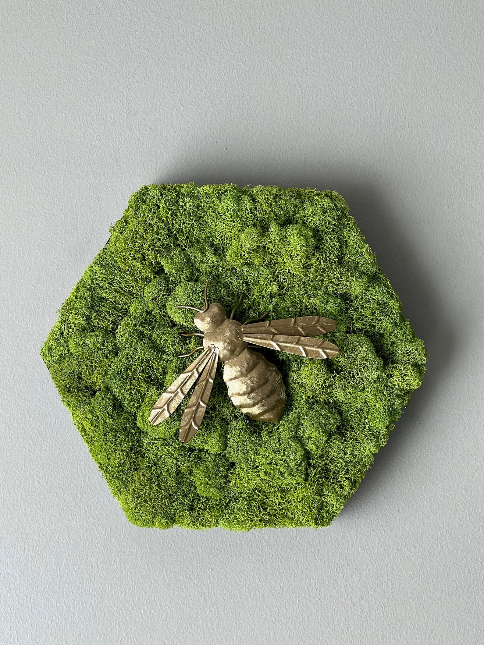 Honey Bee Moss Wall Art | Gold Steel Decoration 12-Inch