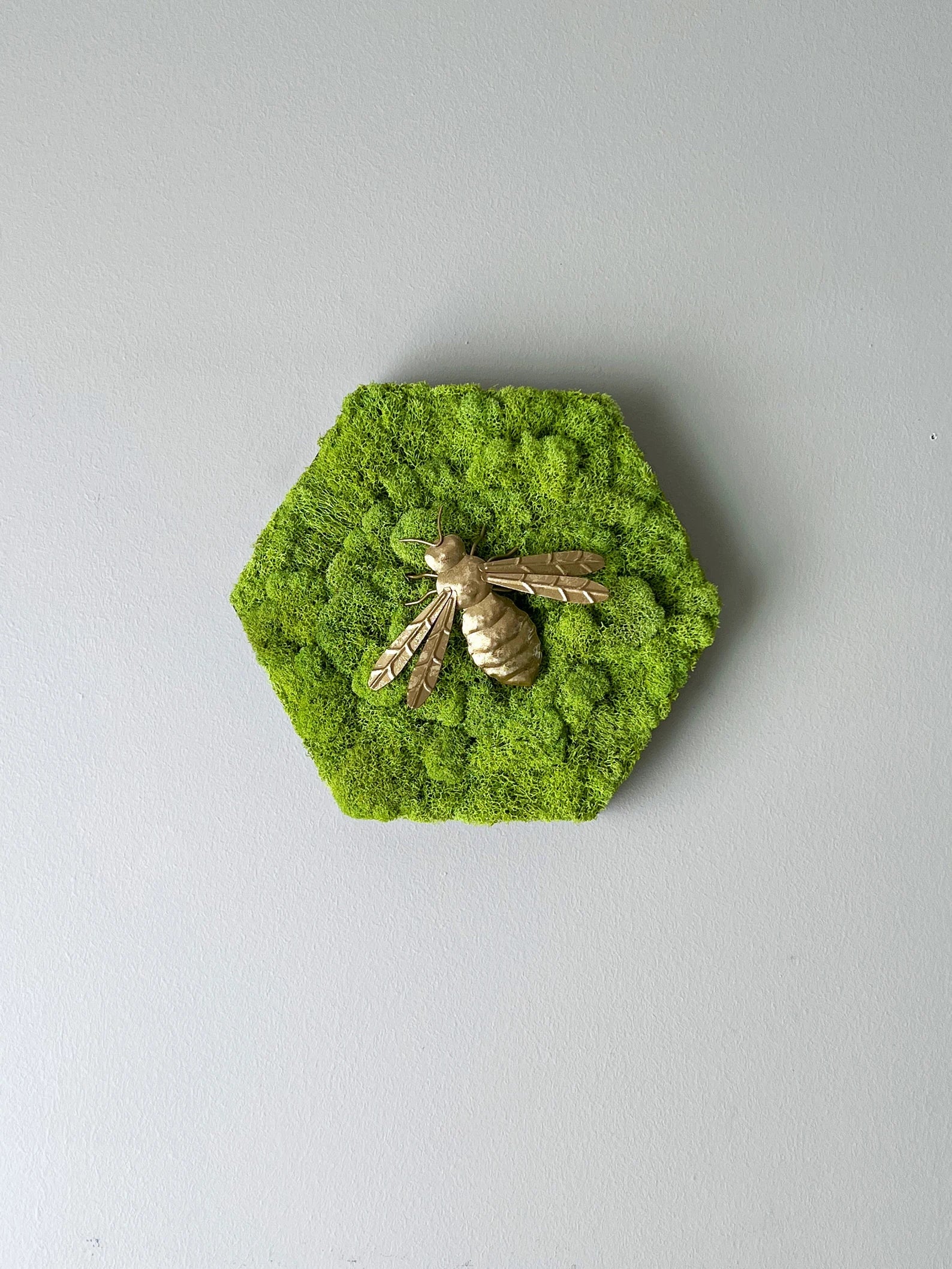 Honey Bee Moss Wall Art | Gold Steel Decoration 12-Inch