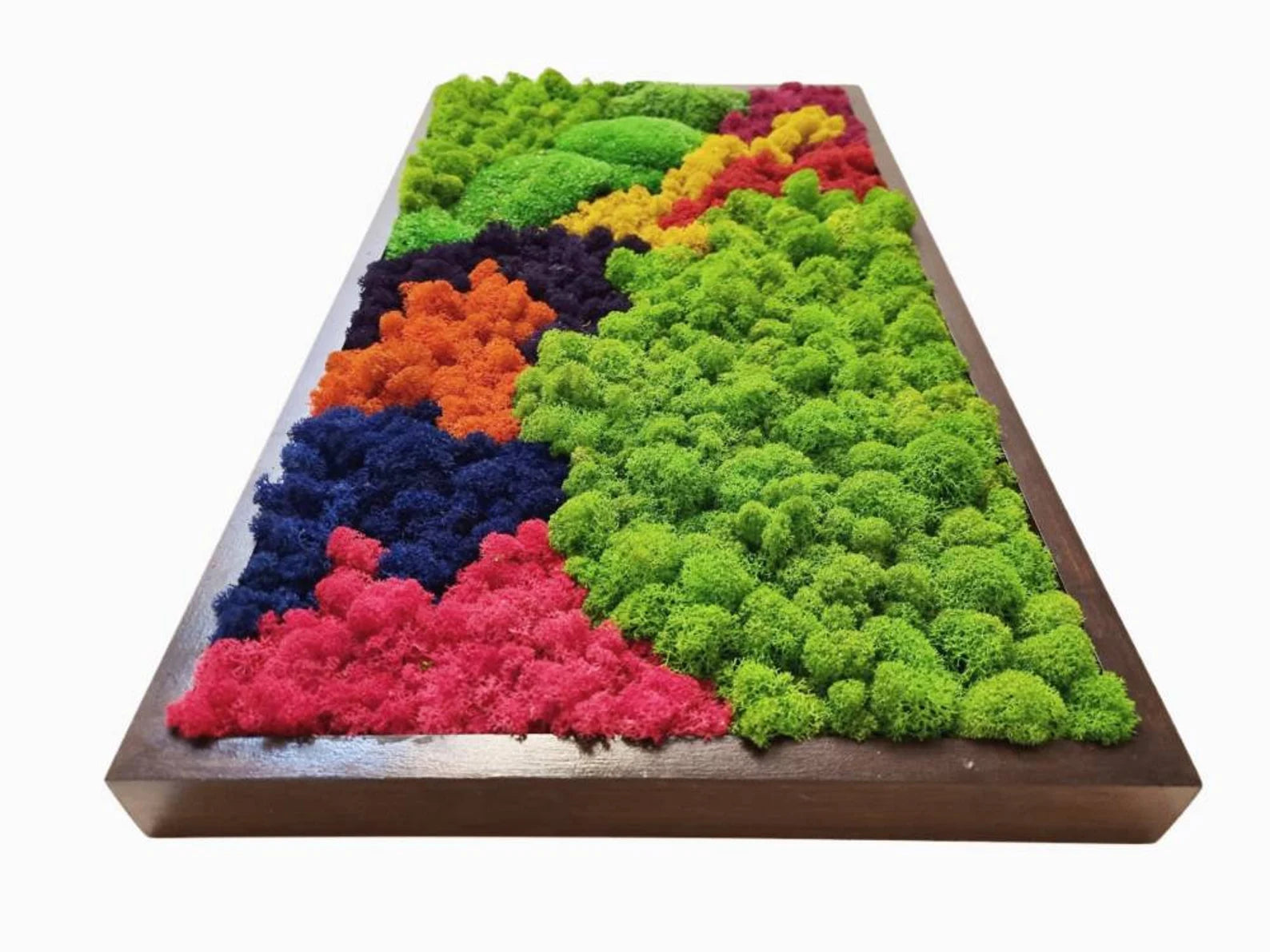 Moss Wall Art – Preserved Moss Frame – Green Wall Nature Room Decor