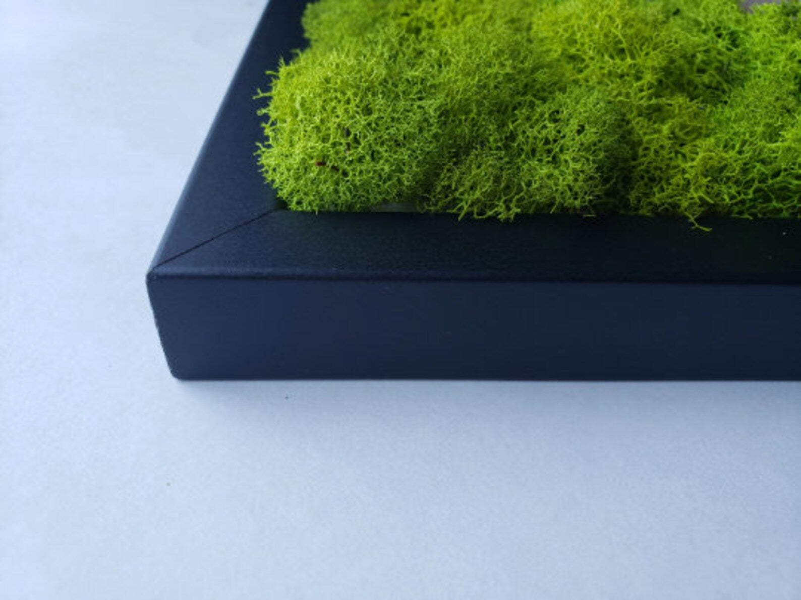Orchid Moss Wall Art – Large Preserved Moss Decoration | White, Black, Gold Frames