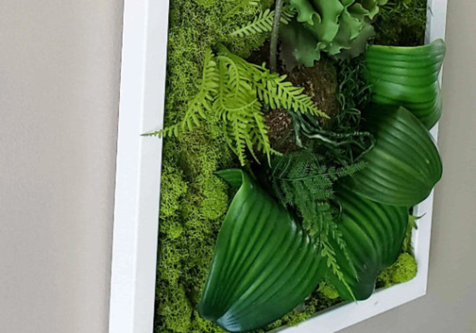 Orchid Moss Wall Art – Large Preserved Moss Decoration | White, Black, Gold Frames