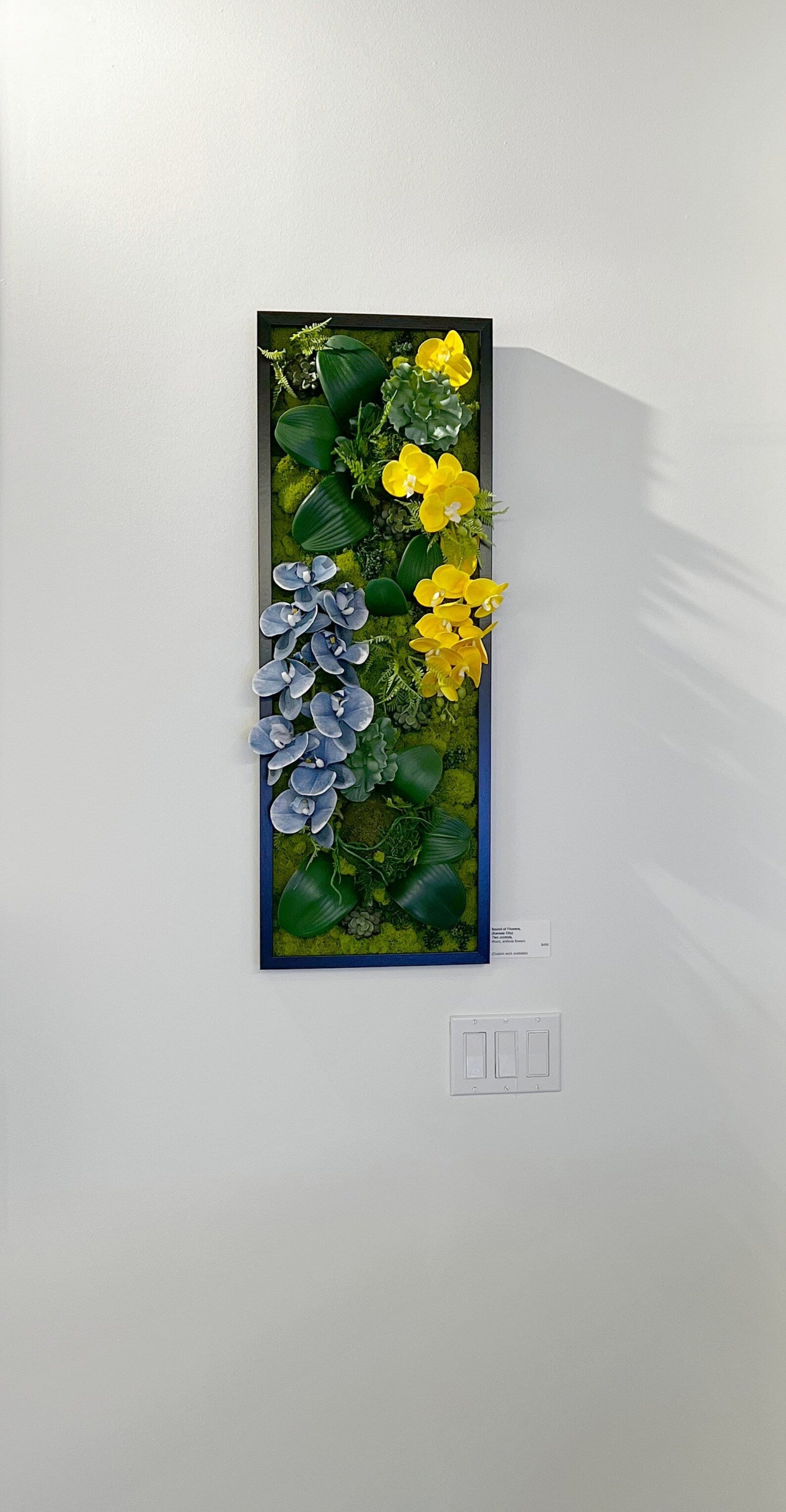 Orchid Moss Wall Art – Large Preserved Moss Decoration | White, Black, Gold Frames