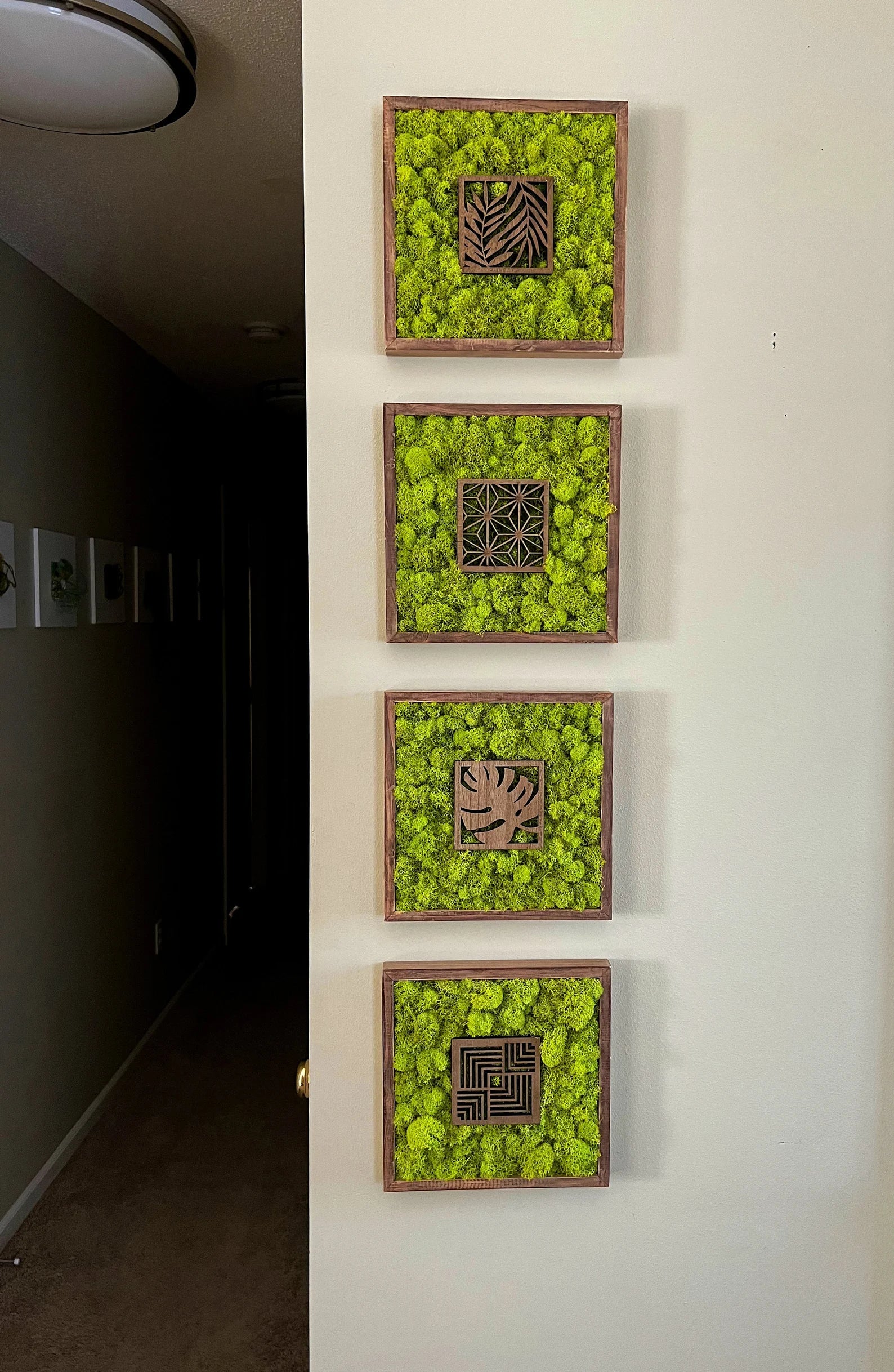 Moss Wall Art – Preserved Moss Art with Natural Wood Frame