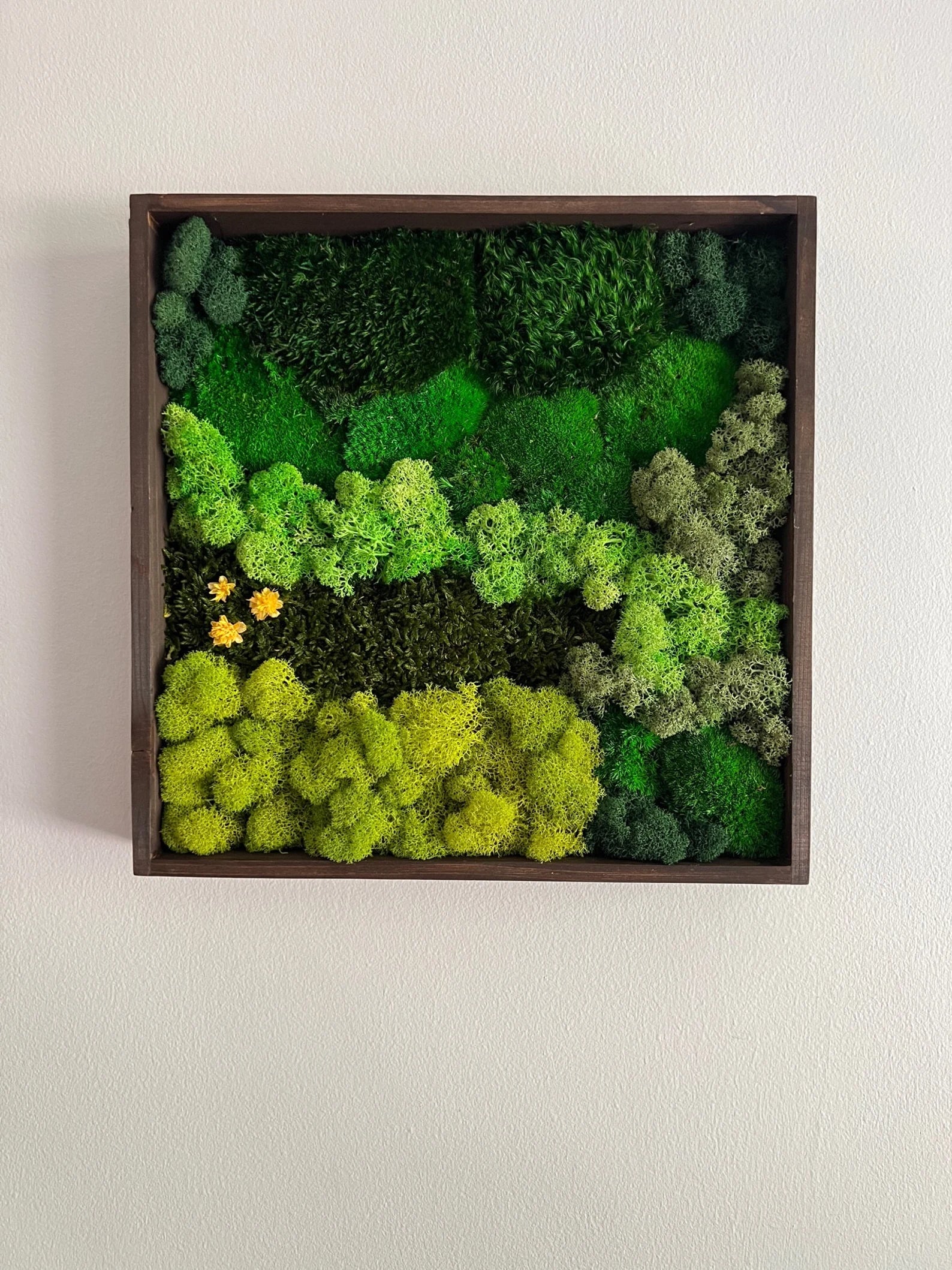 Framed Moss Wall Art – Geometric Aztec Wood Decor | Eco-Friendly Green Wall