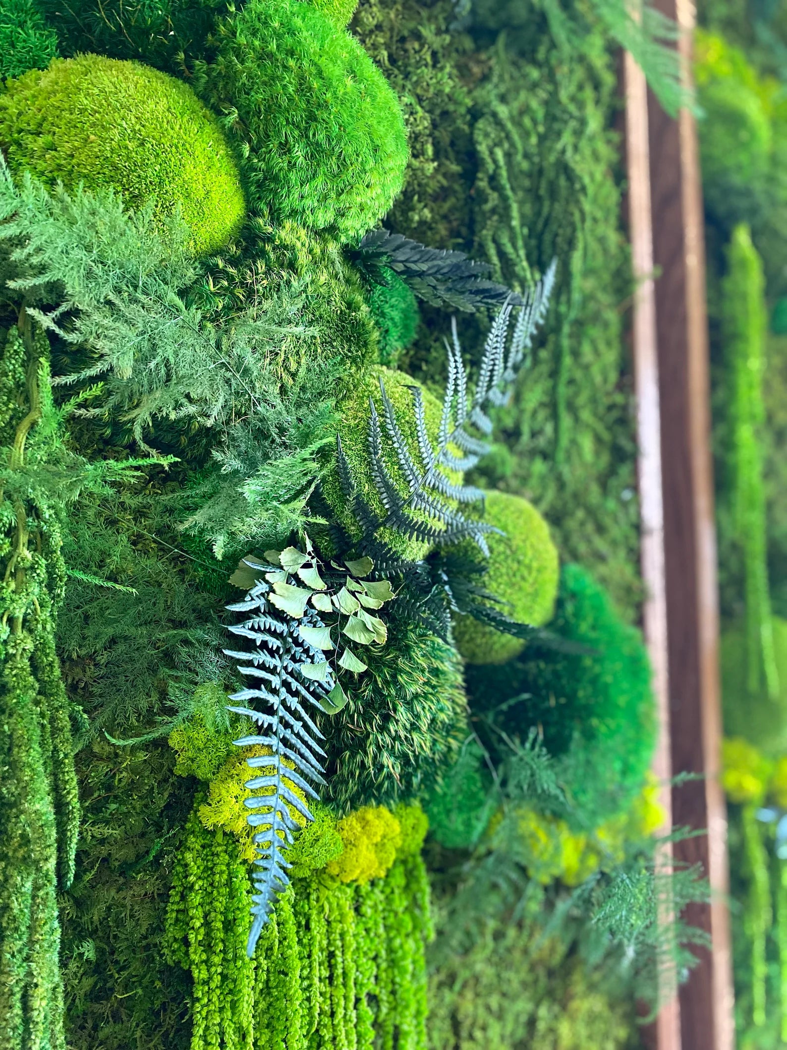 Moss Wall Art – Large Preserved Green Moss Panel, Modern Living Wall Plant Decor for Home or Office