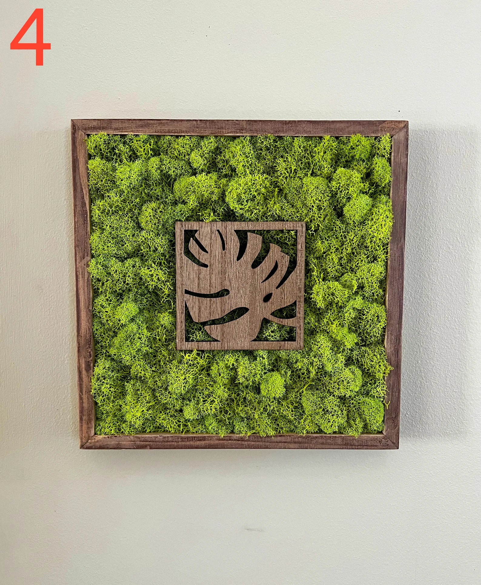 Moss Wall Art – Preserved Moss Art with Natural Wood Frame