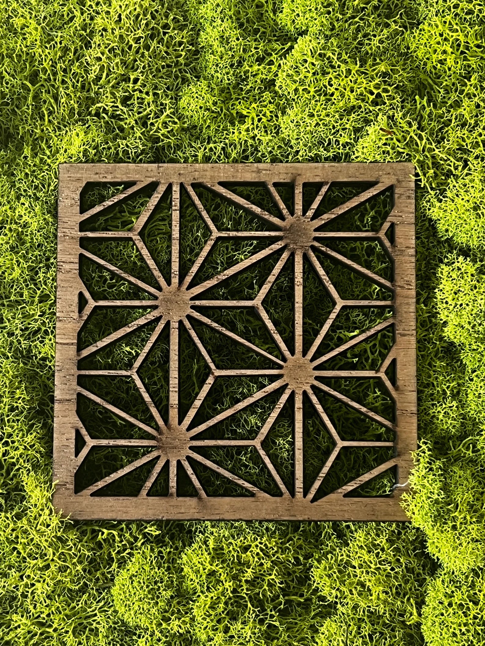 Moss Wall Art – Preserved Moss Art with Natural Wood Frame