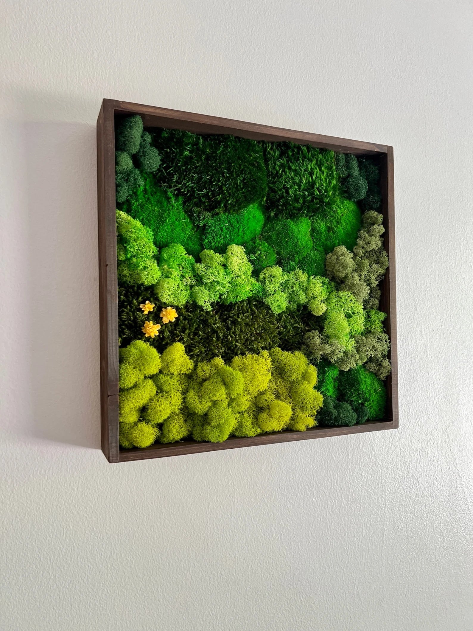 Framed Moss Wall Art – Geometric Aztec Wood Decor | Eco-Friendly Green Wall