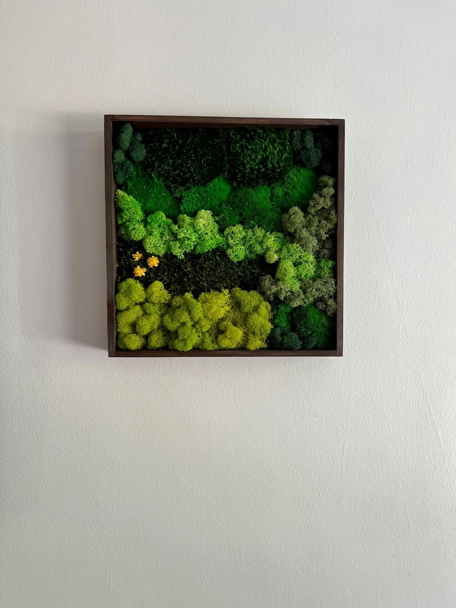 Framed Moss Wall Art – Geometric Aztec Wood Decor | Eco-Friendly Green Wall