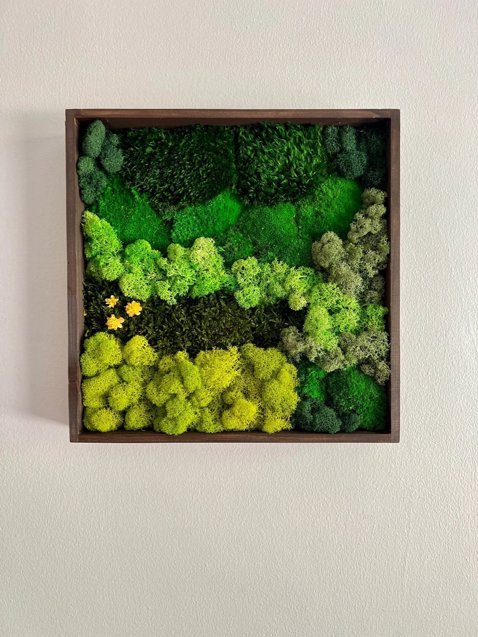 Framed Moss Wall Art – Geometric Aztec Wood Decor | Eco-Friendly Green Wall