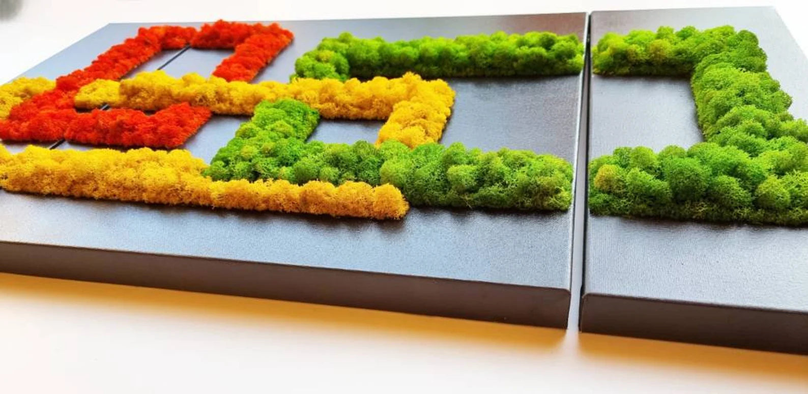Moss Wall Art – Handmade Preserved Moss Frame | Nature Wall Decor & Green Biophilic Design