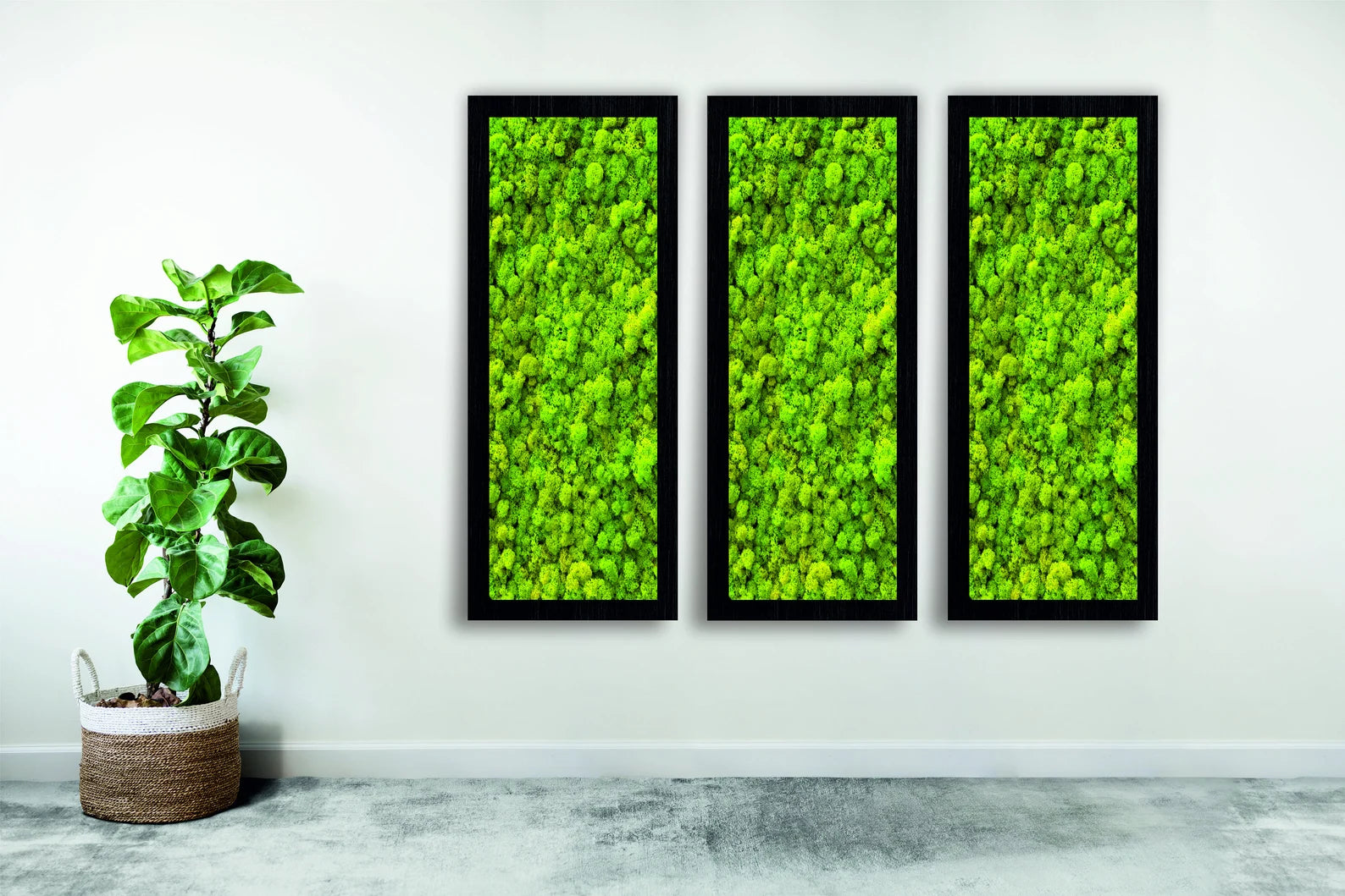 Rectangle Moss Wall Art – Preserved Green Reindeer Moss Frame | Single or Set of 6 Wall Decor