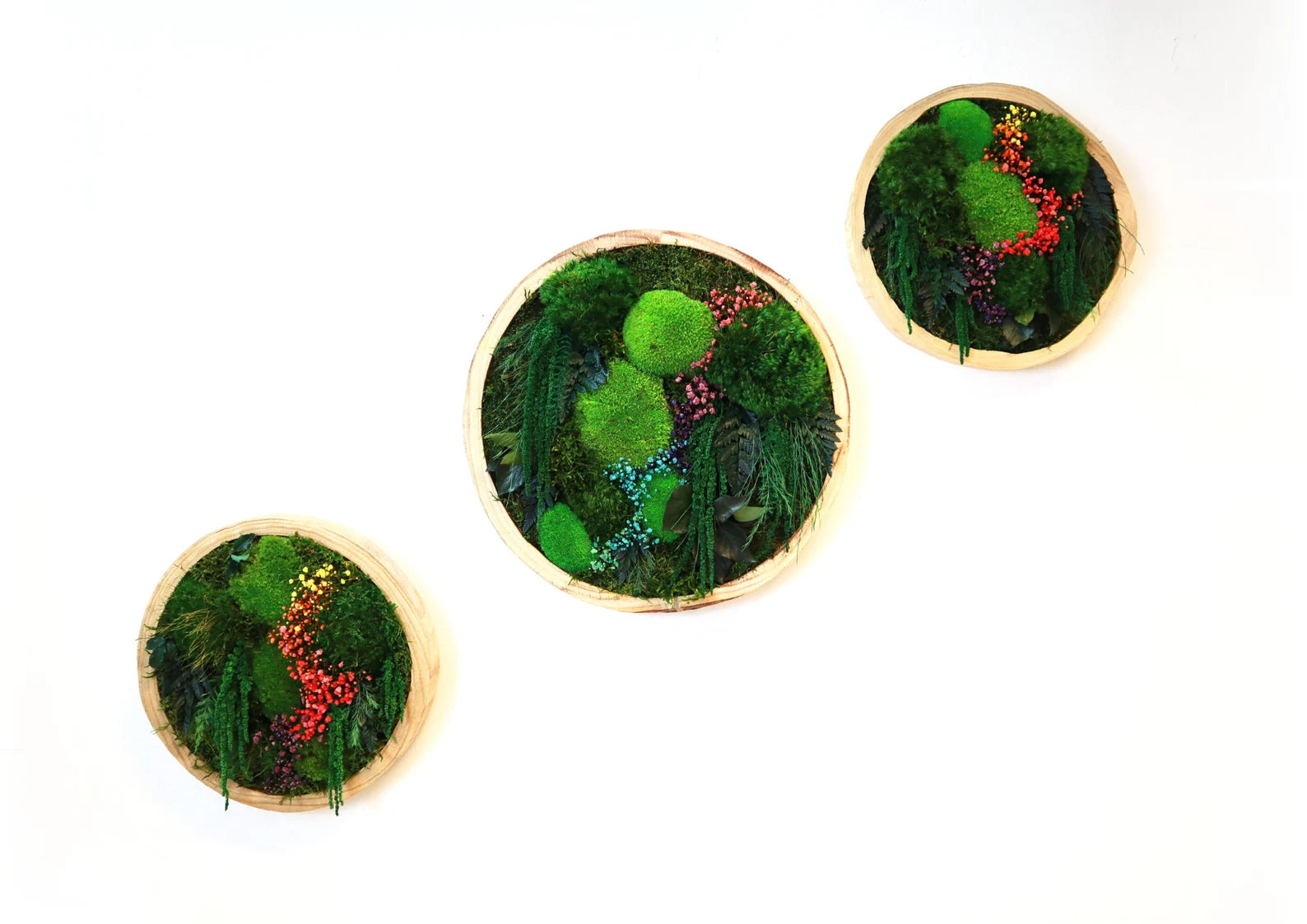 Colorful Round Moss Wall Art – Circle Wall Decor with Preserved Moss & Flowers | Modular Vertical Garden