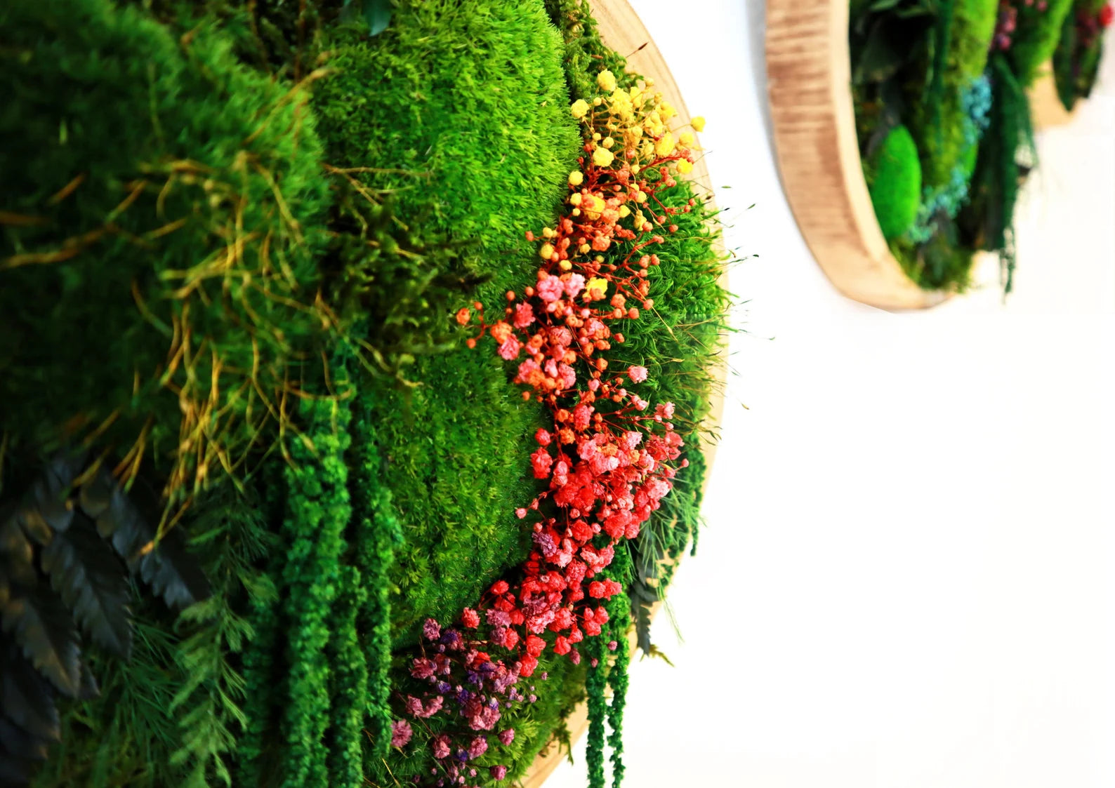 Colorful Round Moss Wall Art – Circle Wall Decor with Preserved Moss & Flowers | Modular Vertical Garden