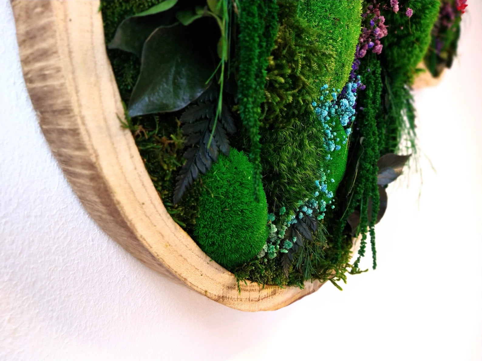 Colorful Round Moss Wall Art – Circle Wall Decor with Preserved Moss & Flowers | Modular Vertical Garden