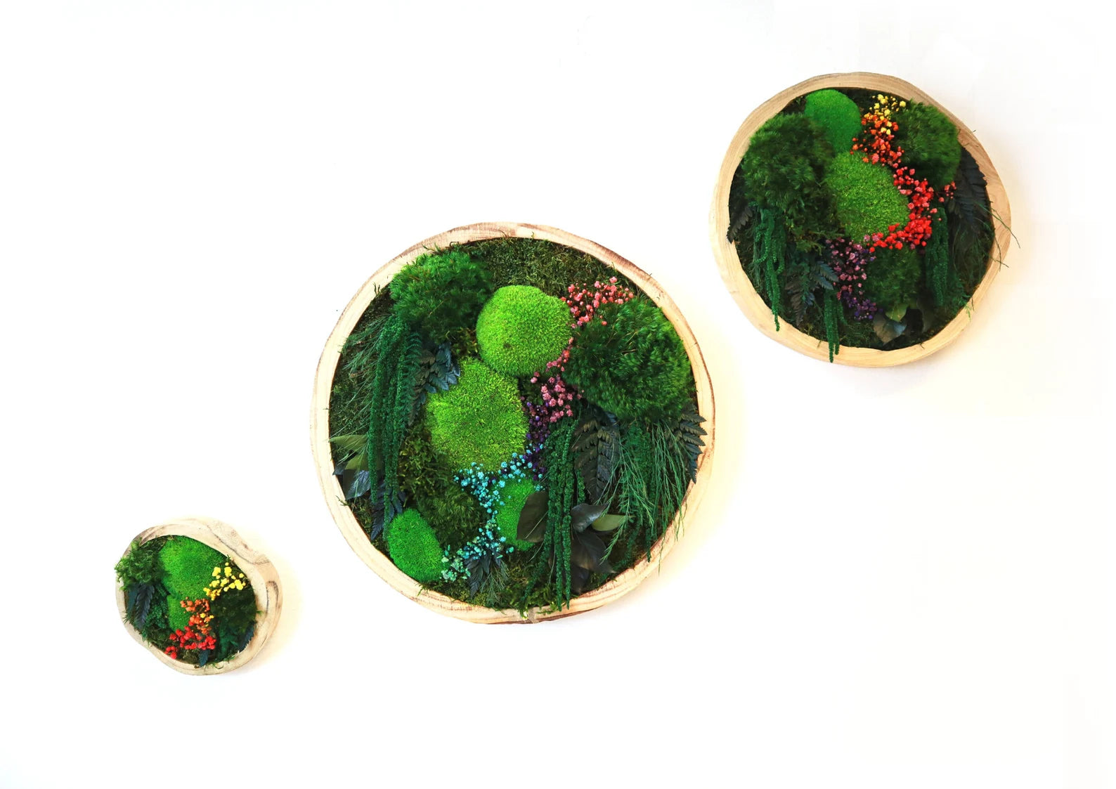 Colorful Round Moss Wall Art – Circle Wall Decor with Preserved Moss & Flowers | Modular Vertical Garden