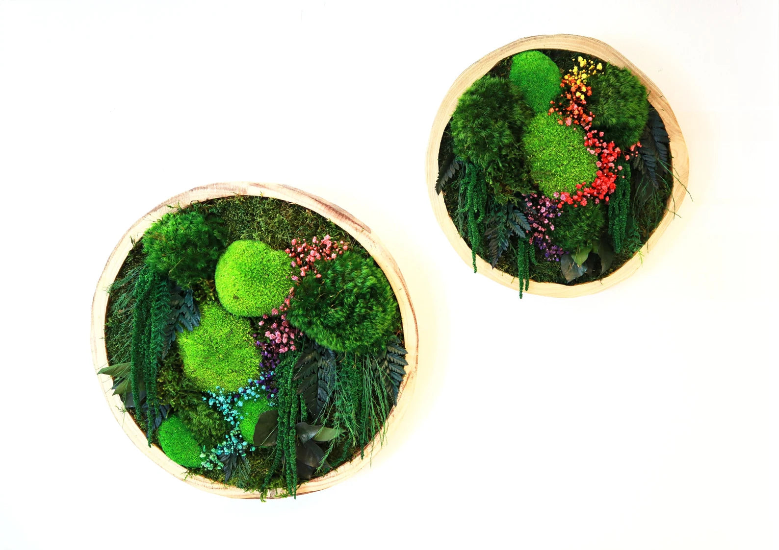 Colorful Round Moss Wall Art – Circle Wall Decor with Preserved Moss & Flowers | Modular Vertical Garden