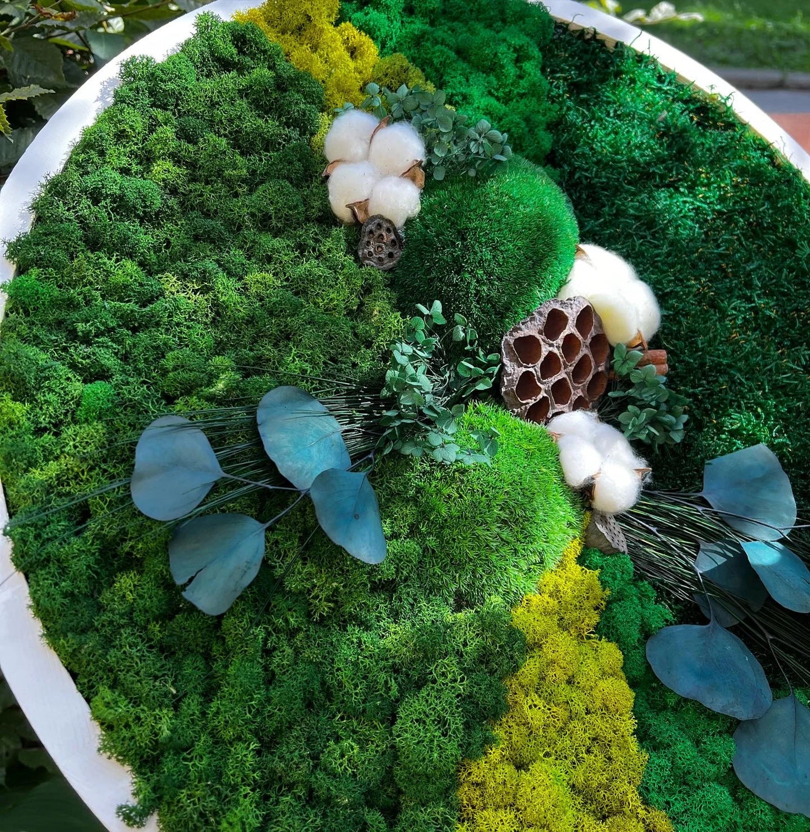 Moss Wall Art – Live & Preserved Framed Moss Wall Hanging | Living Wall Green Decor
