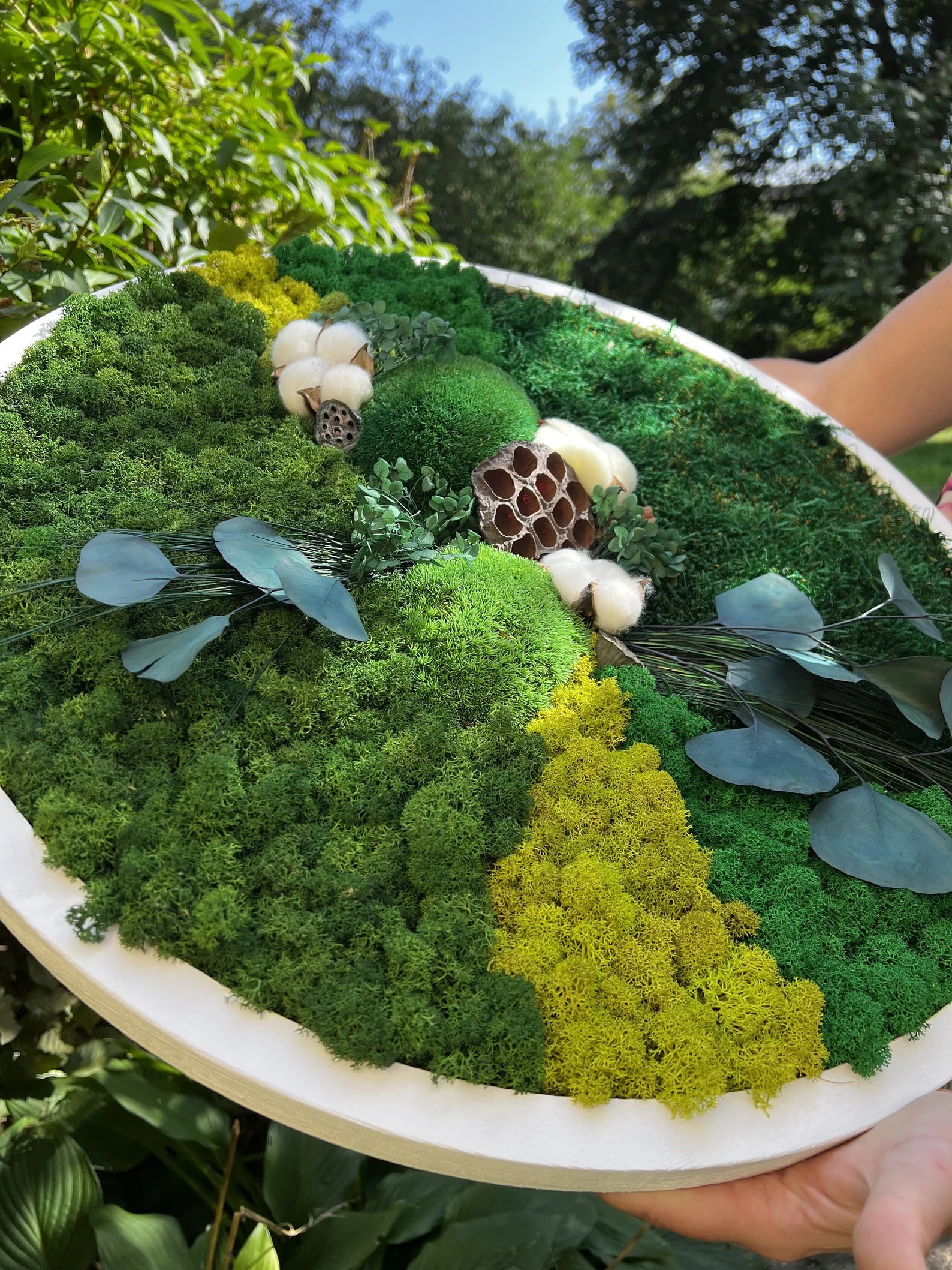 Moss Wall Art – Live & Preserved Framed Moss Wall Hanging | Living Wall Green Decor