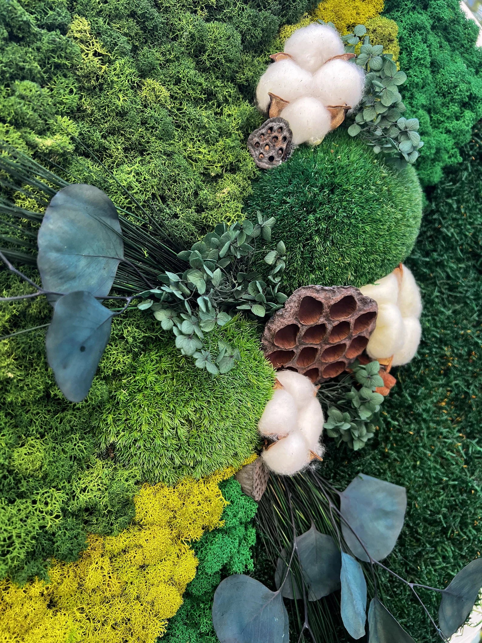 Moss Wall Art – Live & Preserved Framed Moss Wall Hanging | Living Wall Green Decor