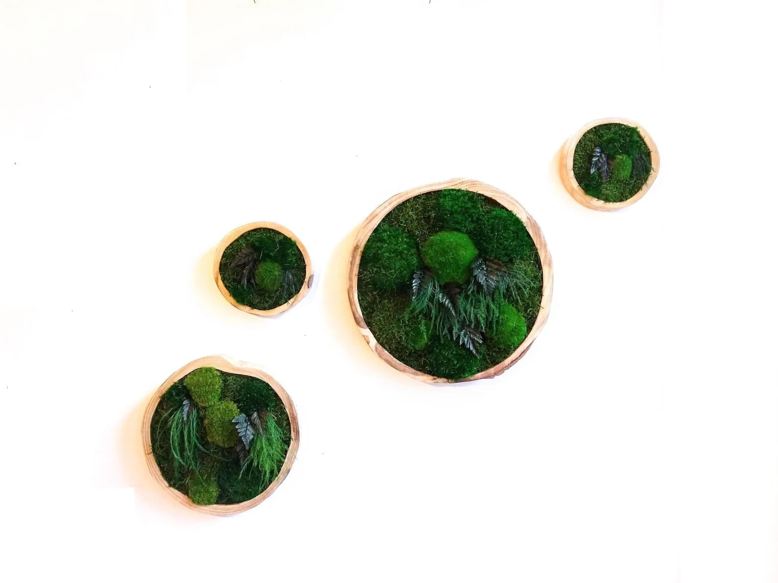 Colorful Round Moss Wall Art – Circle Wall Decor with Preserved Moss & Flowers | Modular Vertical Garden