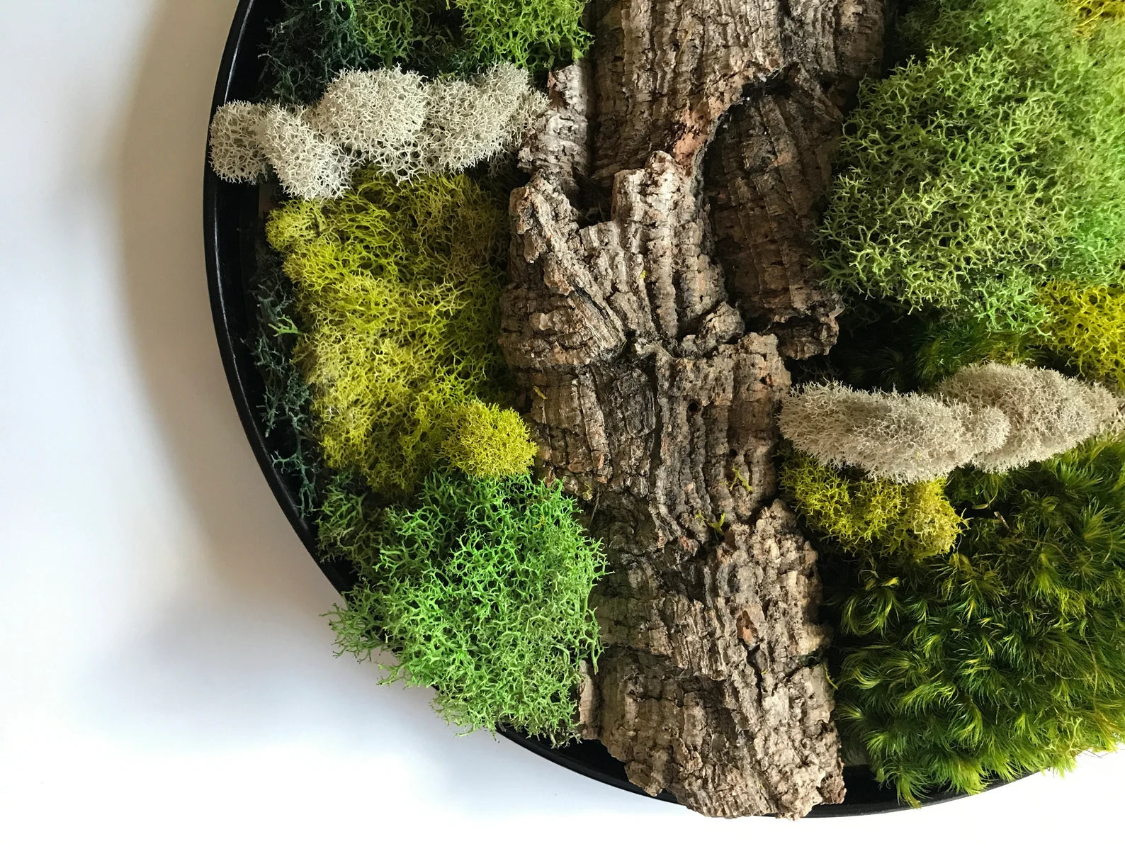 Eco-Friendly Round Moss Wall Art | Botanical Vertical Garden Decor for Home & Office