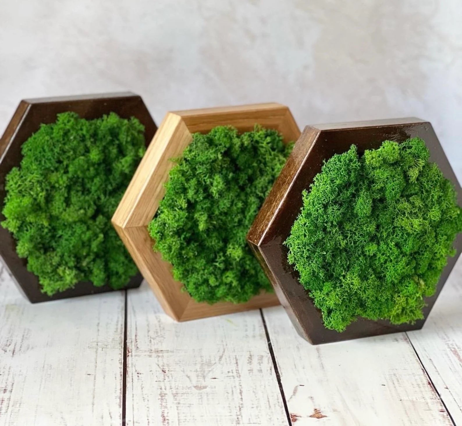 Honeycomb Moss Wall Art – Natural 3D Preserved Moss Decor for Living Room Accent Wall