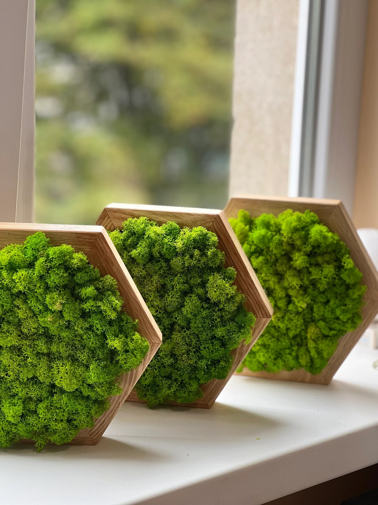 Honeycomb Moss Wall Art – Natural 3D Preserved Moss Decor for Living Room Accent Wall