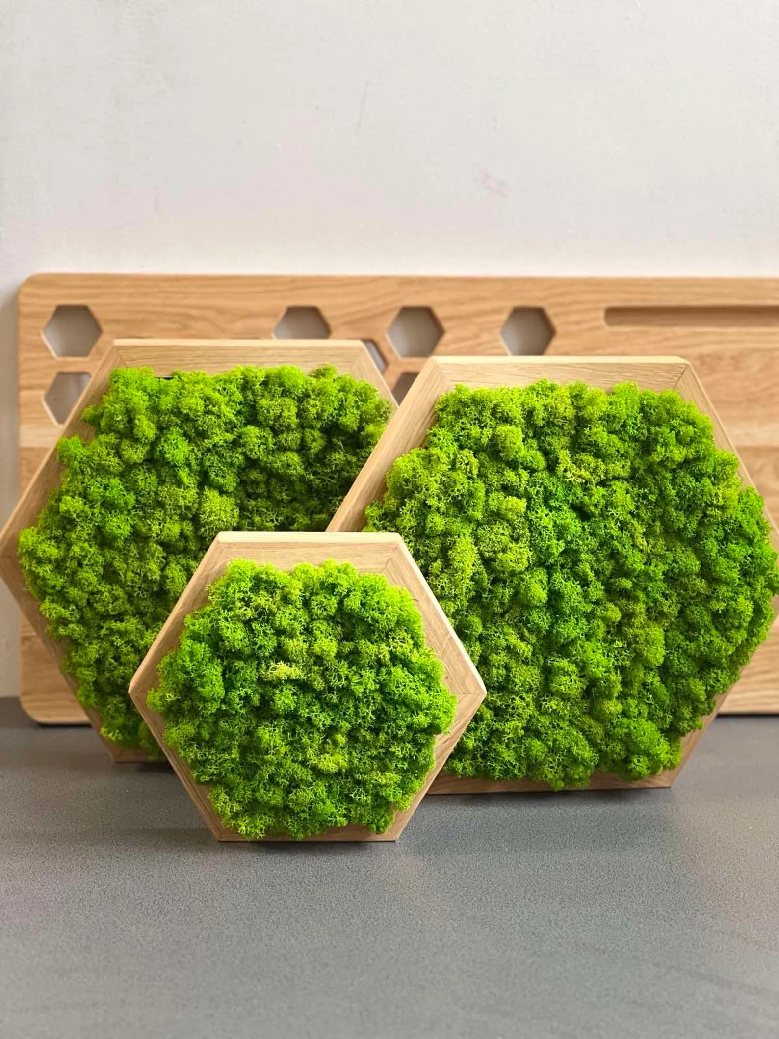 Honeycomb Moss Wall Art – Natural 3D Preserved Moss Decor for Living Room Accent Wall