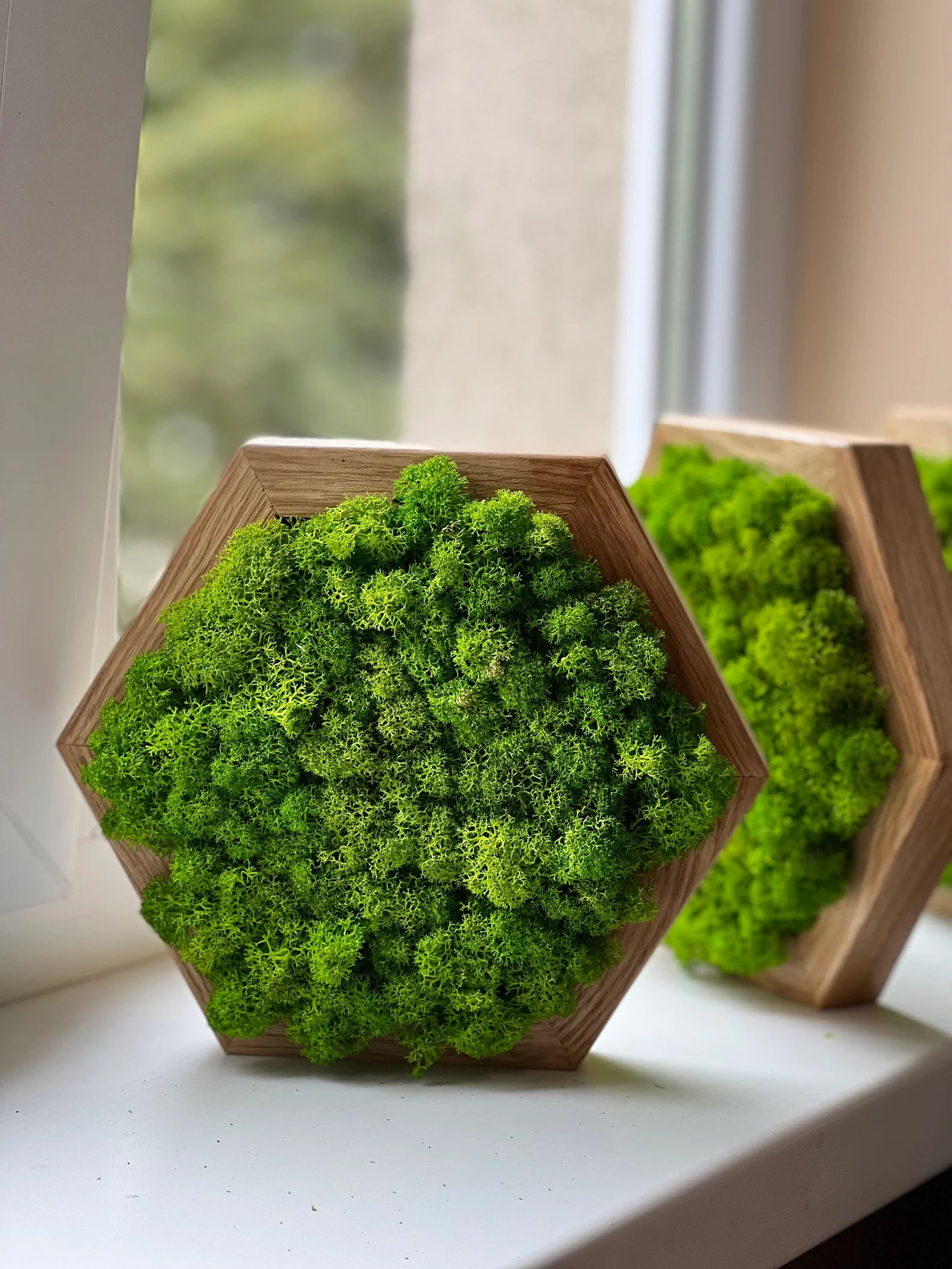 Honeycomb Moss Wall Art – Natural 3D Preserved Moss Decor for Living Room Accent Wall
