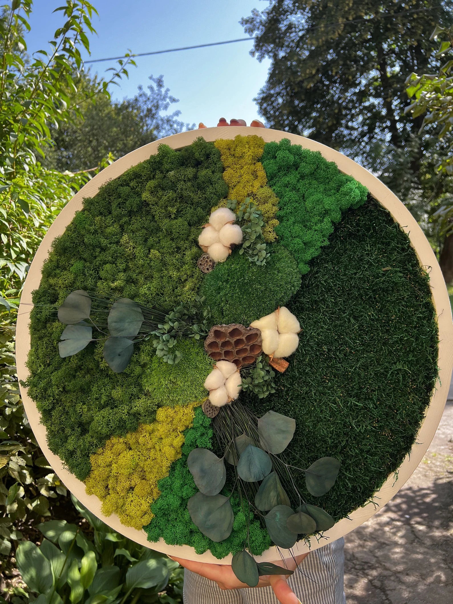 Moss Wall Art – Live & Preserved Framed Moss Wall Hanging | Living Wall Green Decor