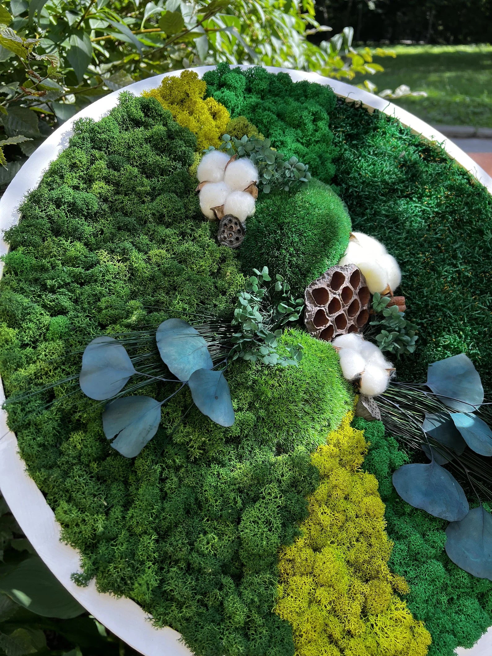 Moss Wall Art – Live & Preserved Framed Moss Wall Hanging | Living Wall Green Decor