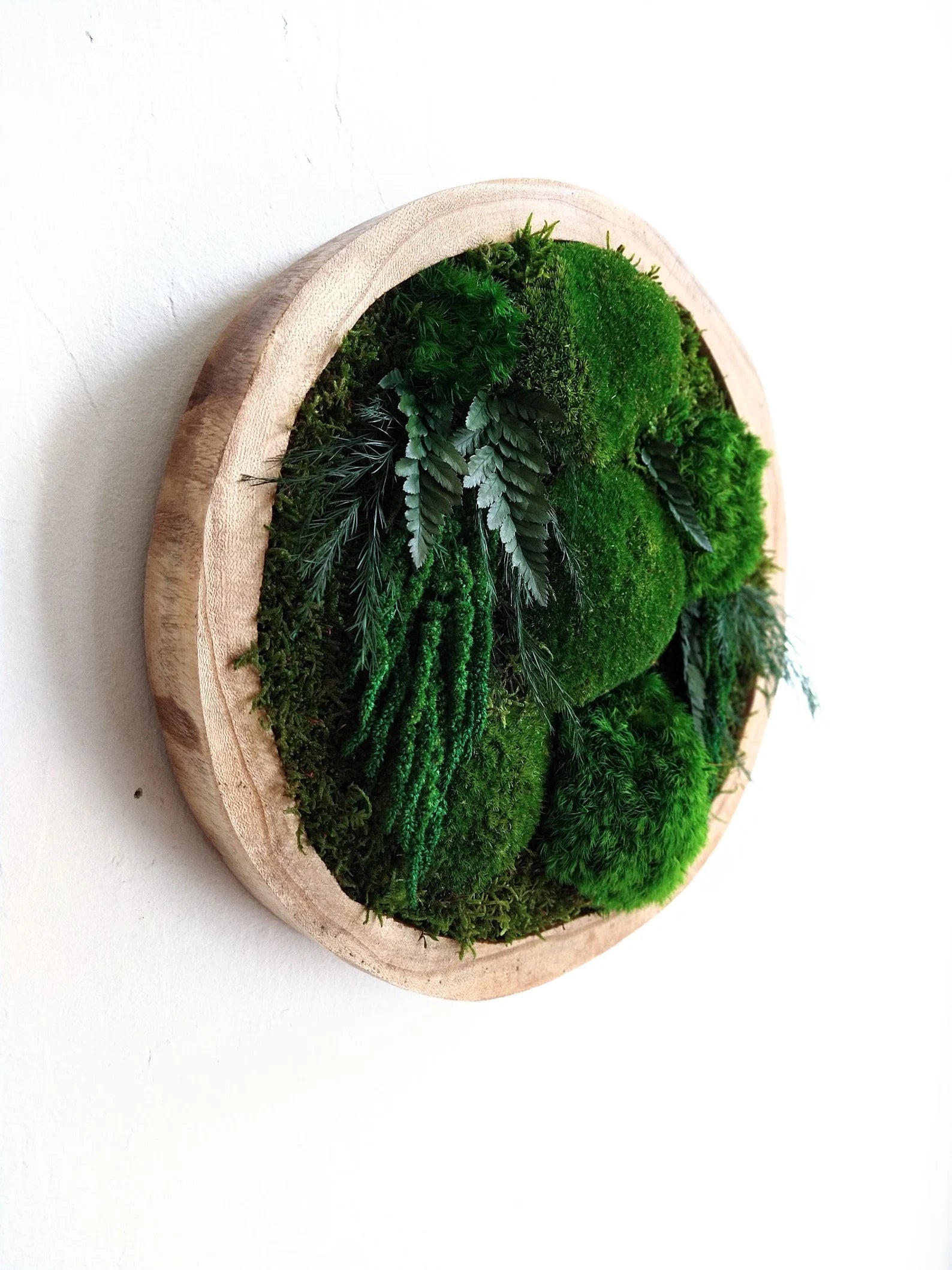 Colorful Round Moss Wall Art – Circle Wall Decor with Preserved Moss & Flowers | Modular Vertical Garden