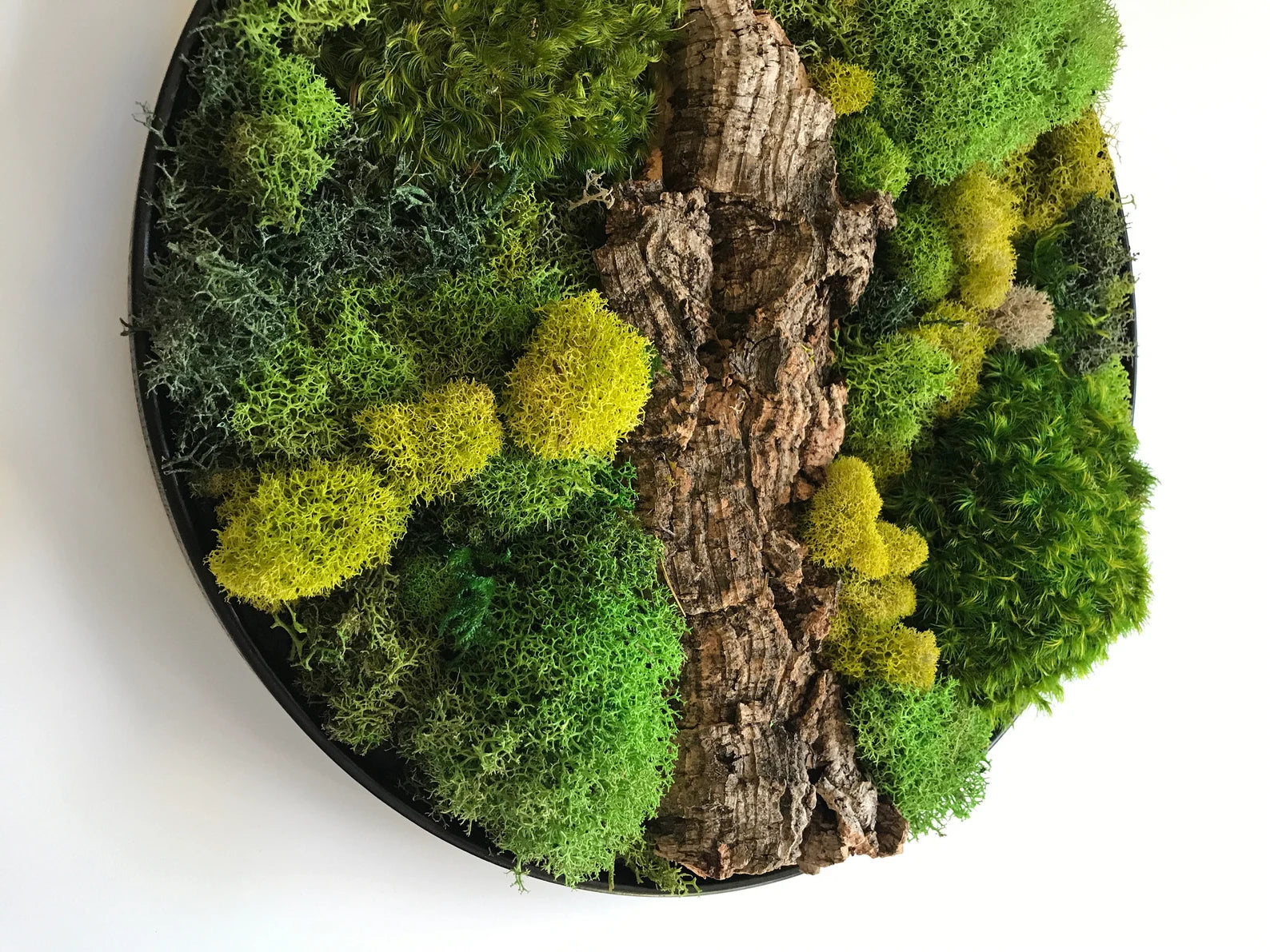 Eco-Friendly Round Moss Wall Art | Botanical Vertical Garden Decor for Home & Office
