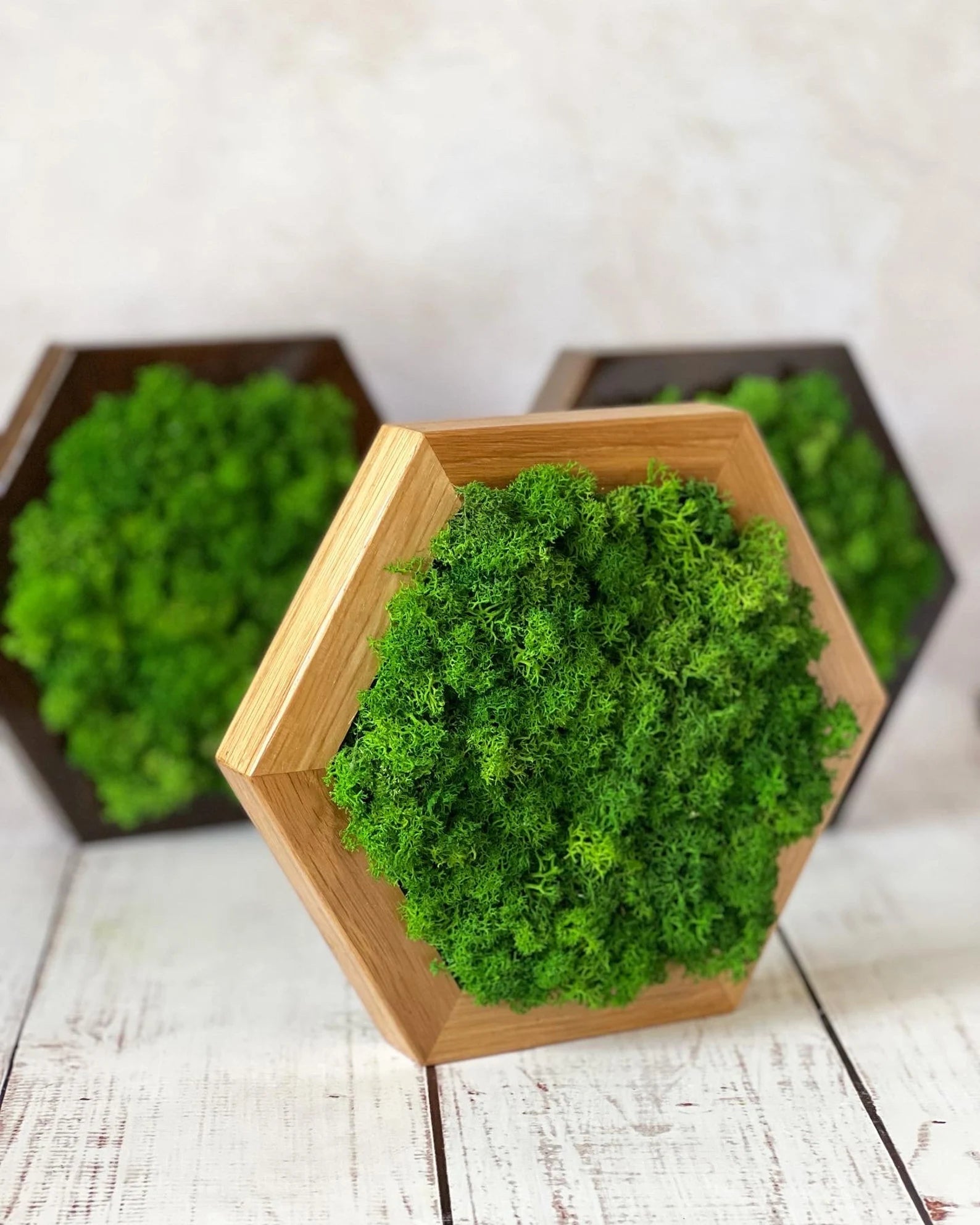 Honeycomb Moss Wall Art – Natural 3D Preserved Moss Decor for Living Room Accent Wall