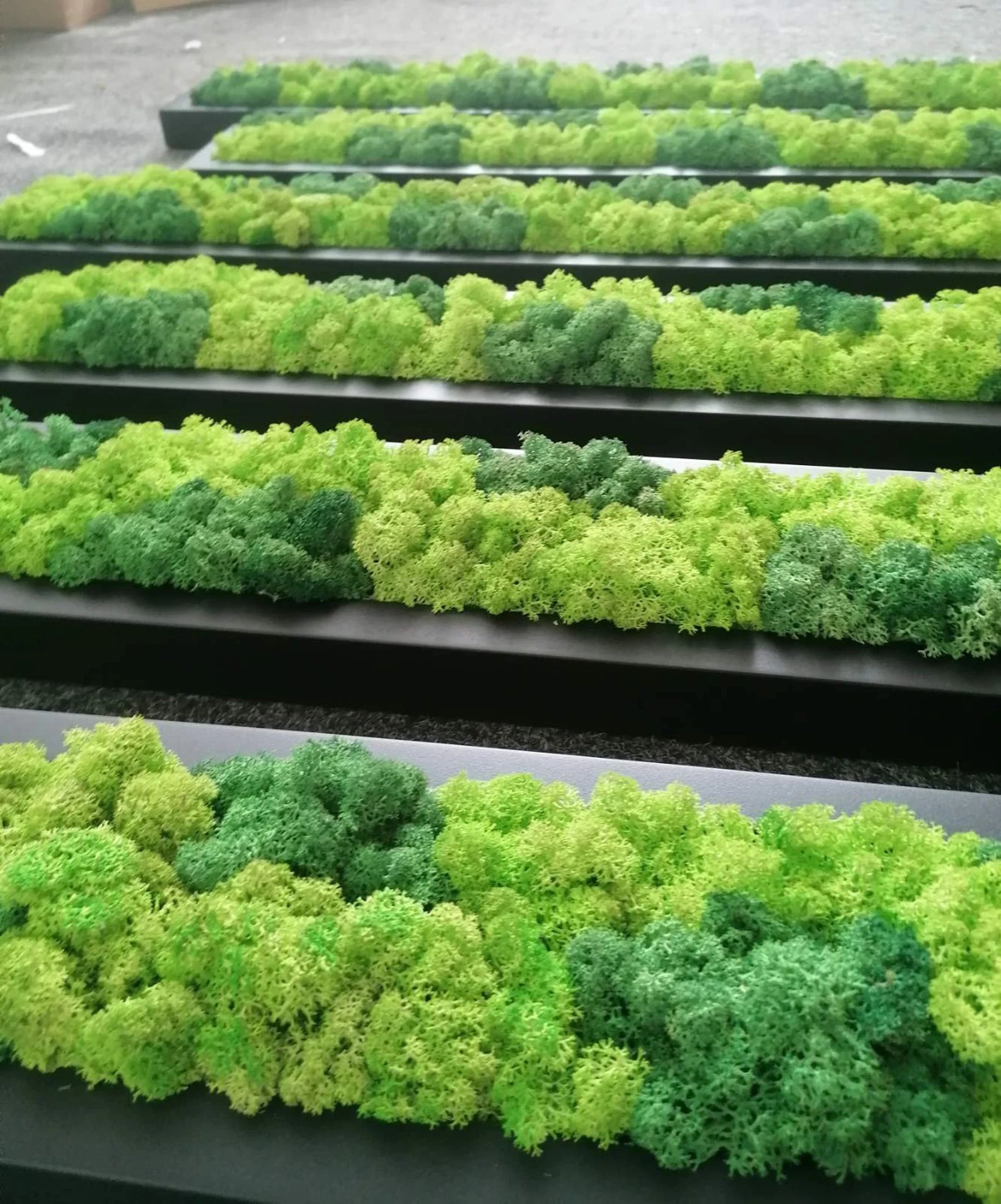 Wooden Moss Panel – Preserved Reindeer Moss Wall Art, Real Moss Wall Hanging for Home Decor