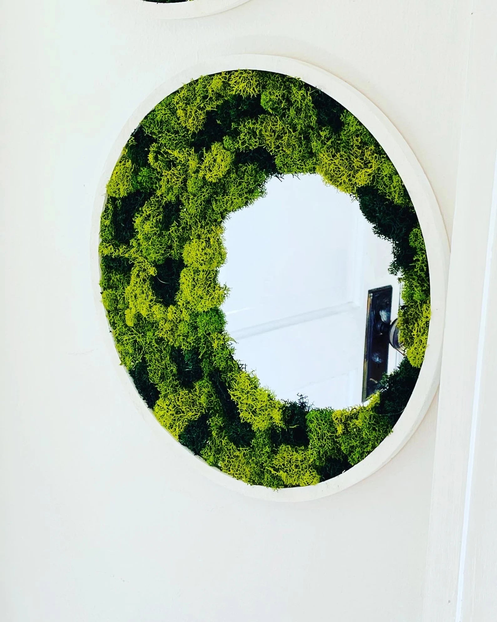 Round Wood Mirror with Preserved Moss – Moss Wall Art & Cottagecore Home Decor