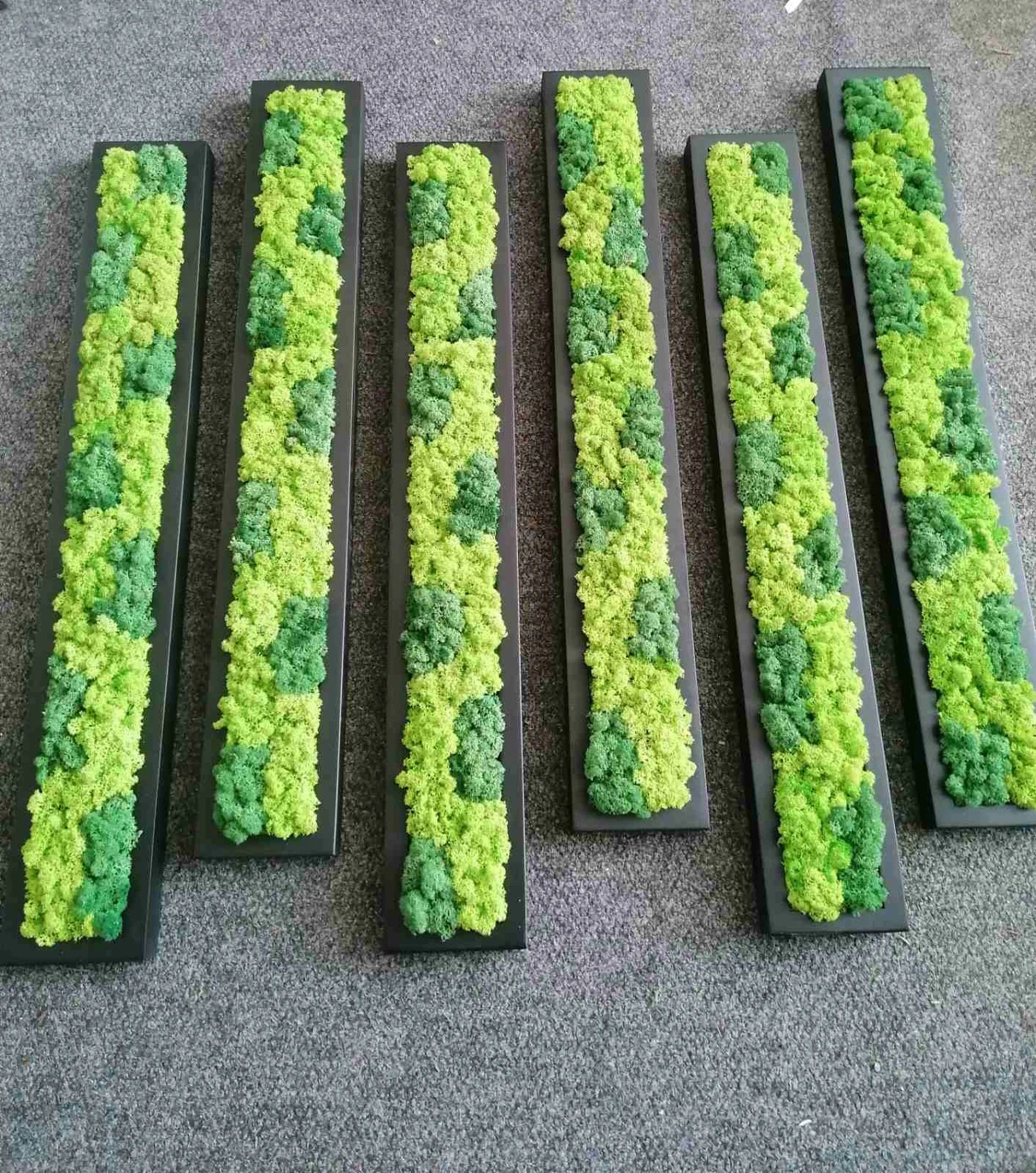 Wooden Moss Panel – Preserved Reindeer Moss Wall Art, Real Moss Wall Hanging for Home Decor