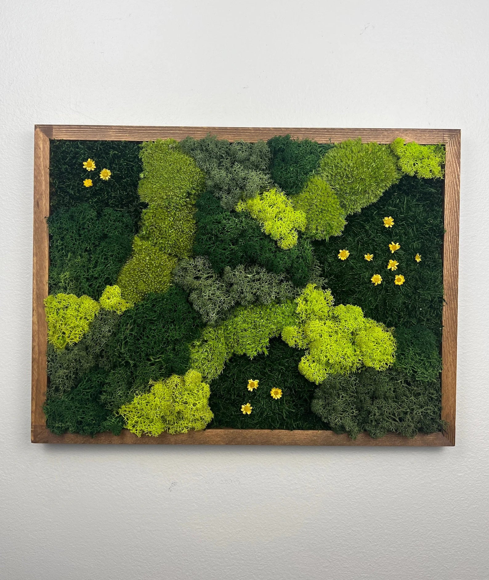Natural Moss Wall Panel | Framed Reindeer Moss Art 12x16