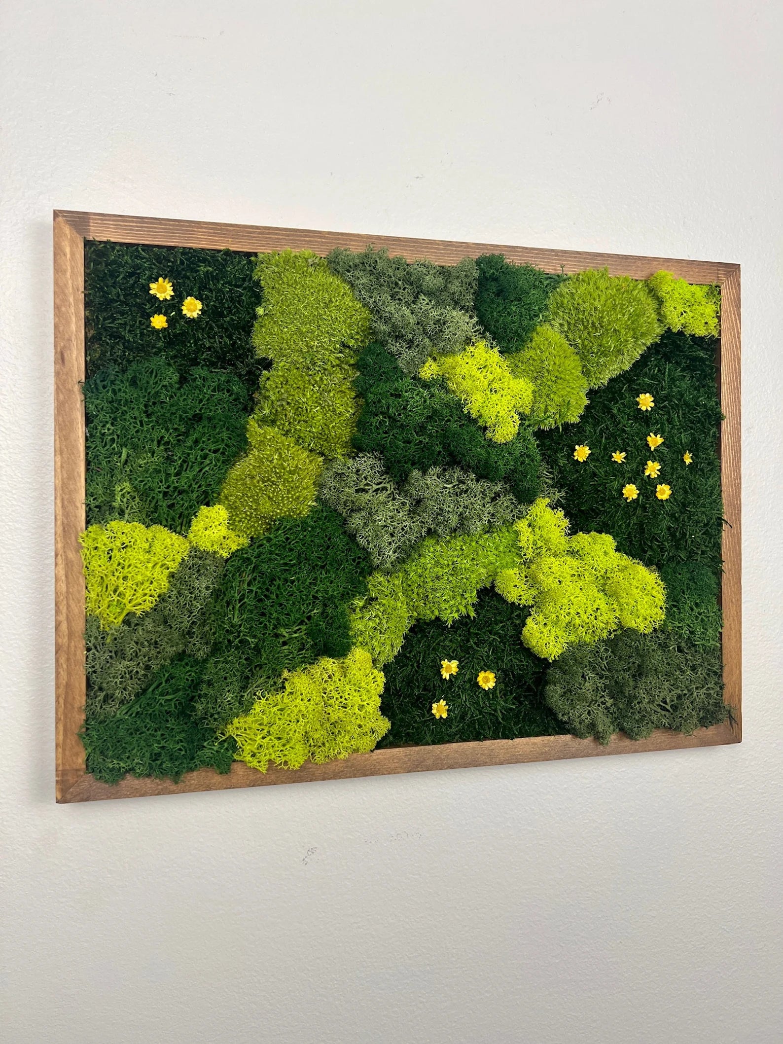 Natural Moss Wall Panel | Framed Reindeer Moss Art 12x16