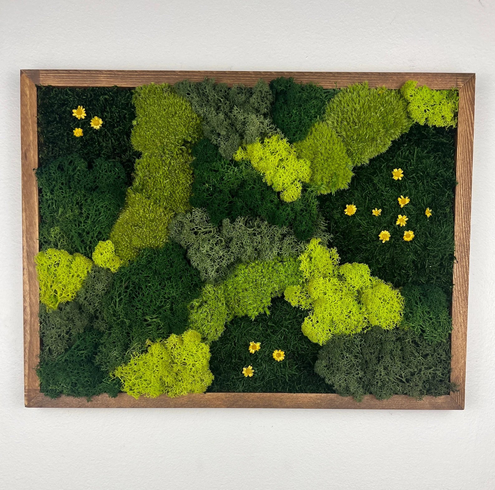 Natural Moss Wall Panel | Framed Reindeer Moss Art 12x16