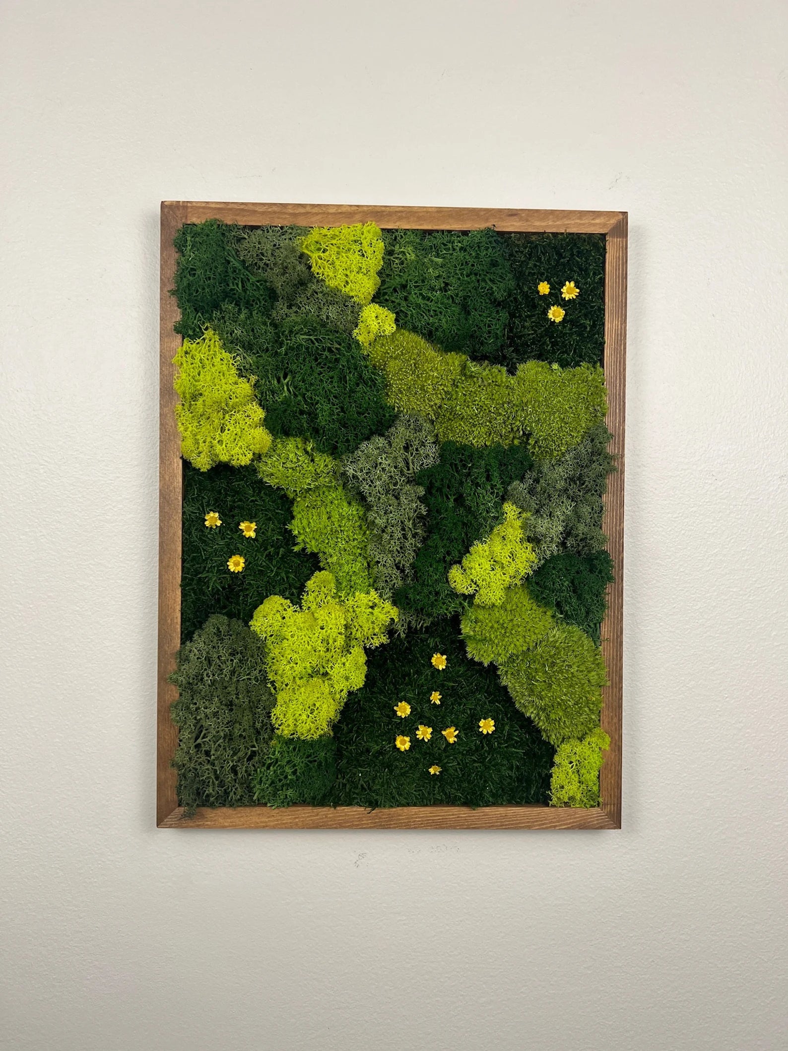 Natural Moss Wall Panel | Framed Reindeer Moss Art 12x16
