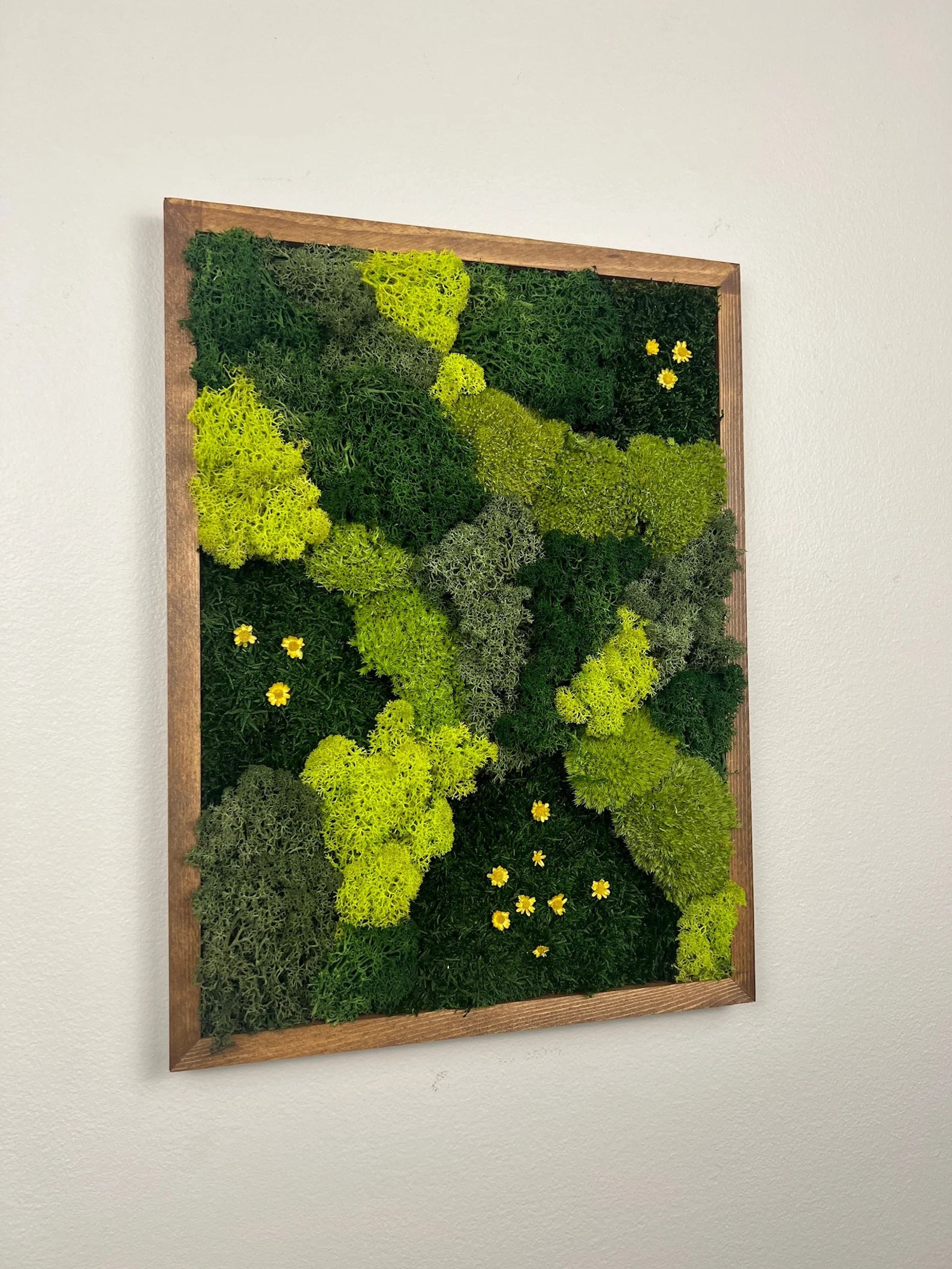 Natural Moss Wall Panel | Framed Reindeer Moss Art 12x16