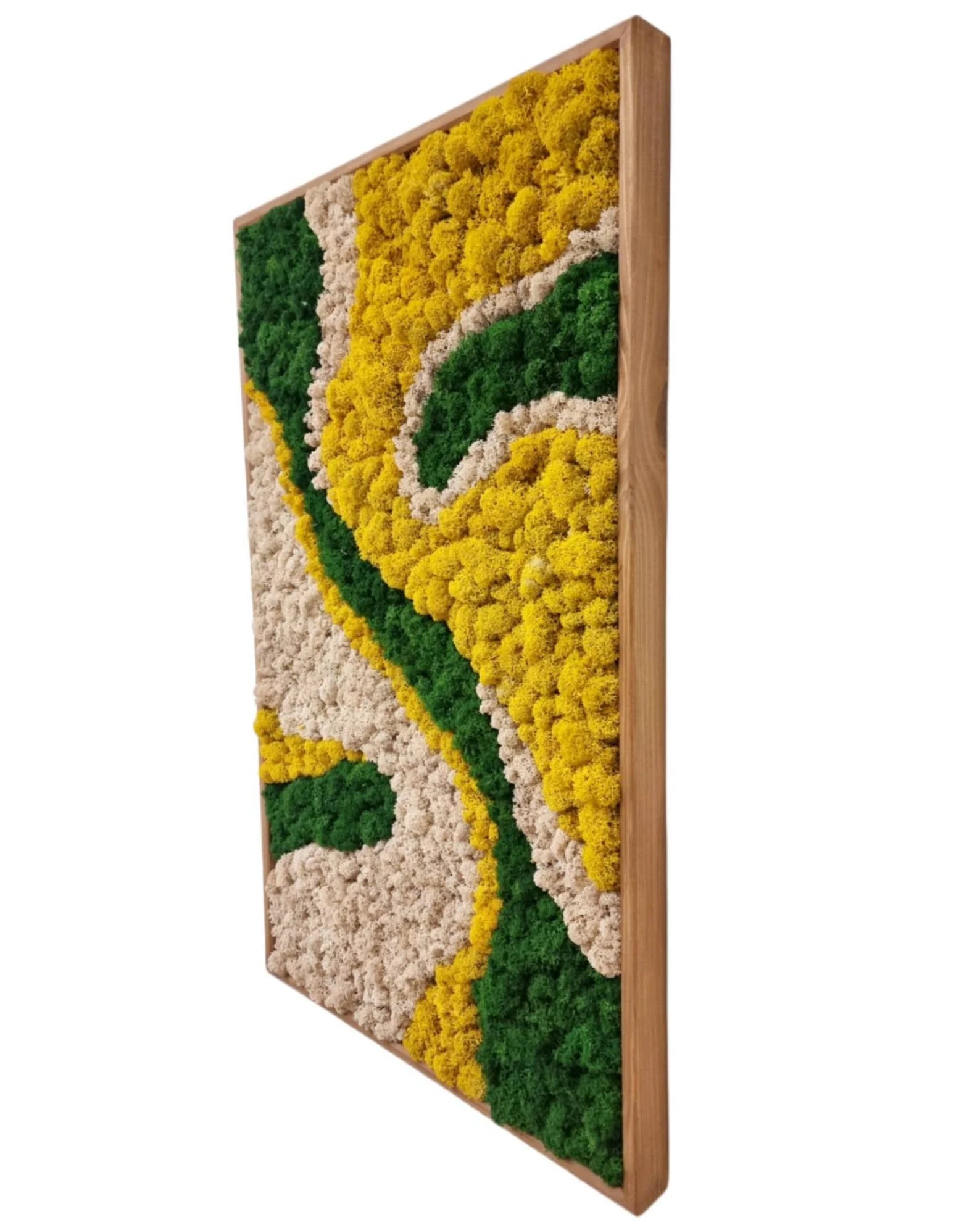 Nature Moss Wall Art – Handmade Preserved Green Wall Decor | Abstract Earth-Tone Biophilic Design