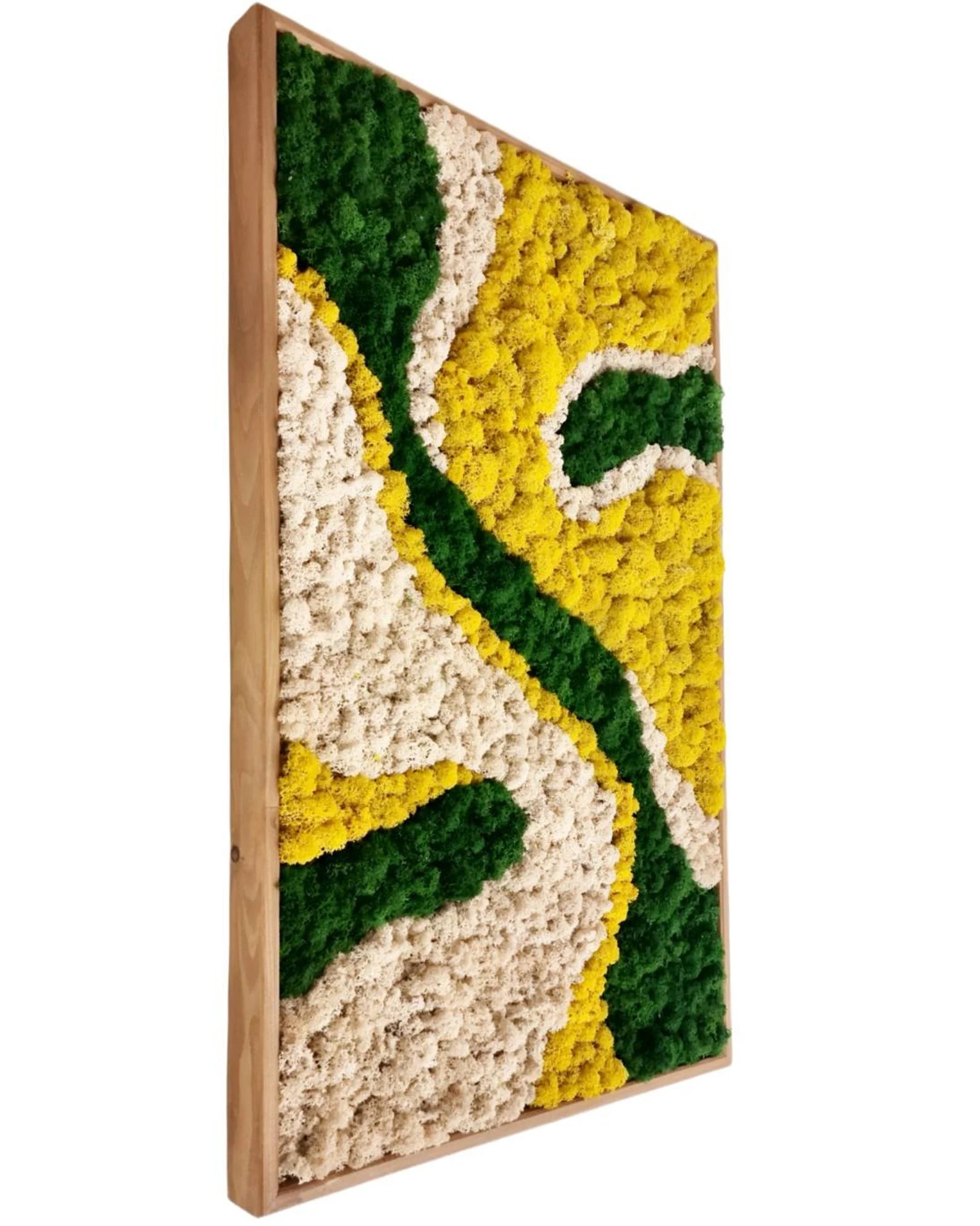 Nature Moss Wall Art – Handmade Preserved Green Wall Decor | Abstract Earth-Tone Biophilic Design