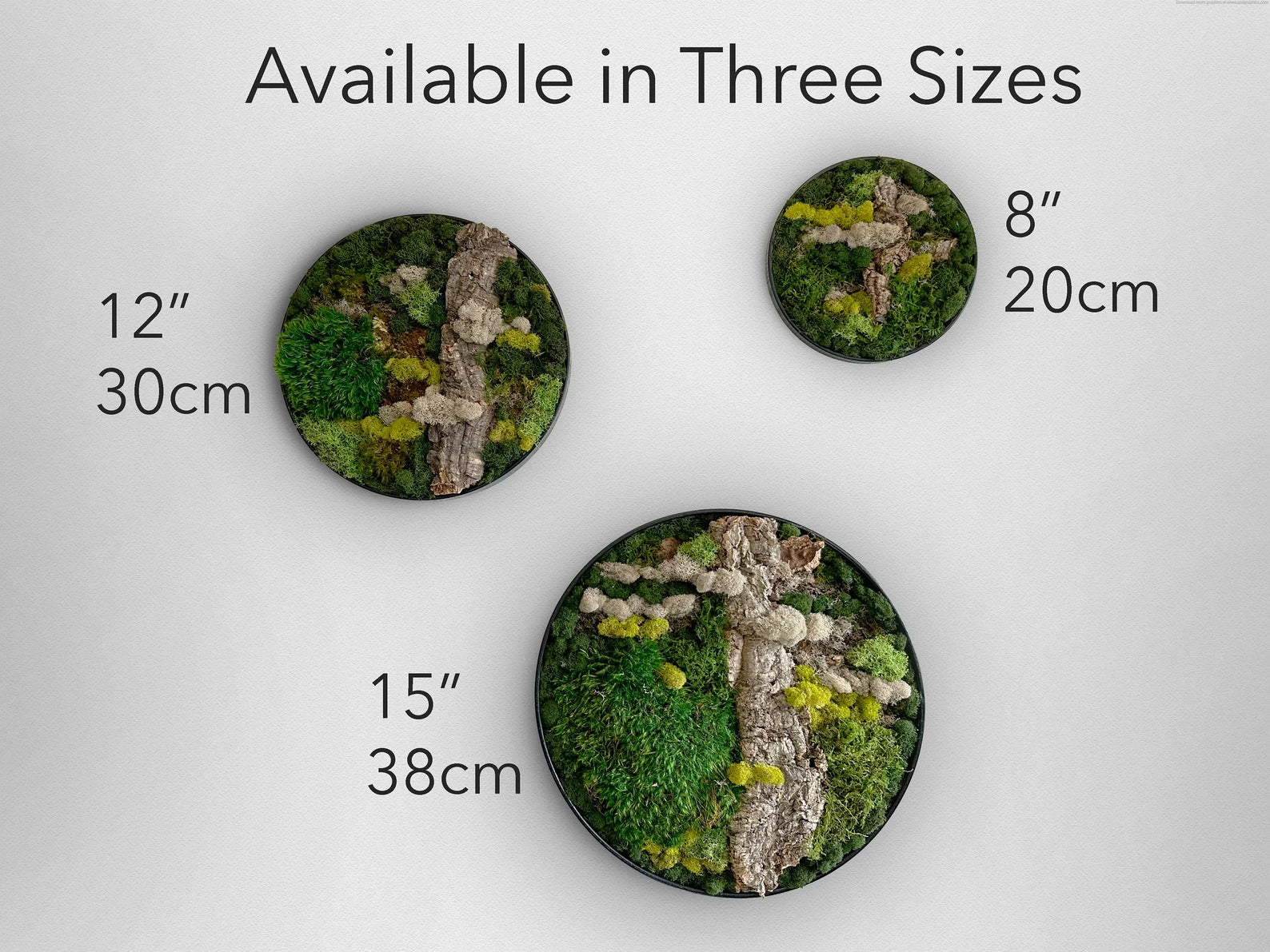 Eco-Friendly Round Moss Wall Art | Botanical Vertical Garden Decor for Home & Office